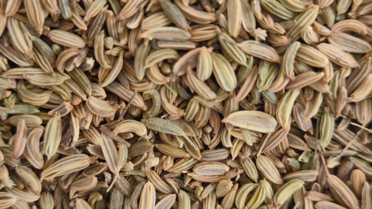 Tips to Use Fennel Seeds Safely