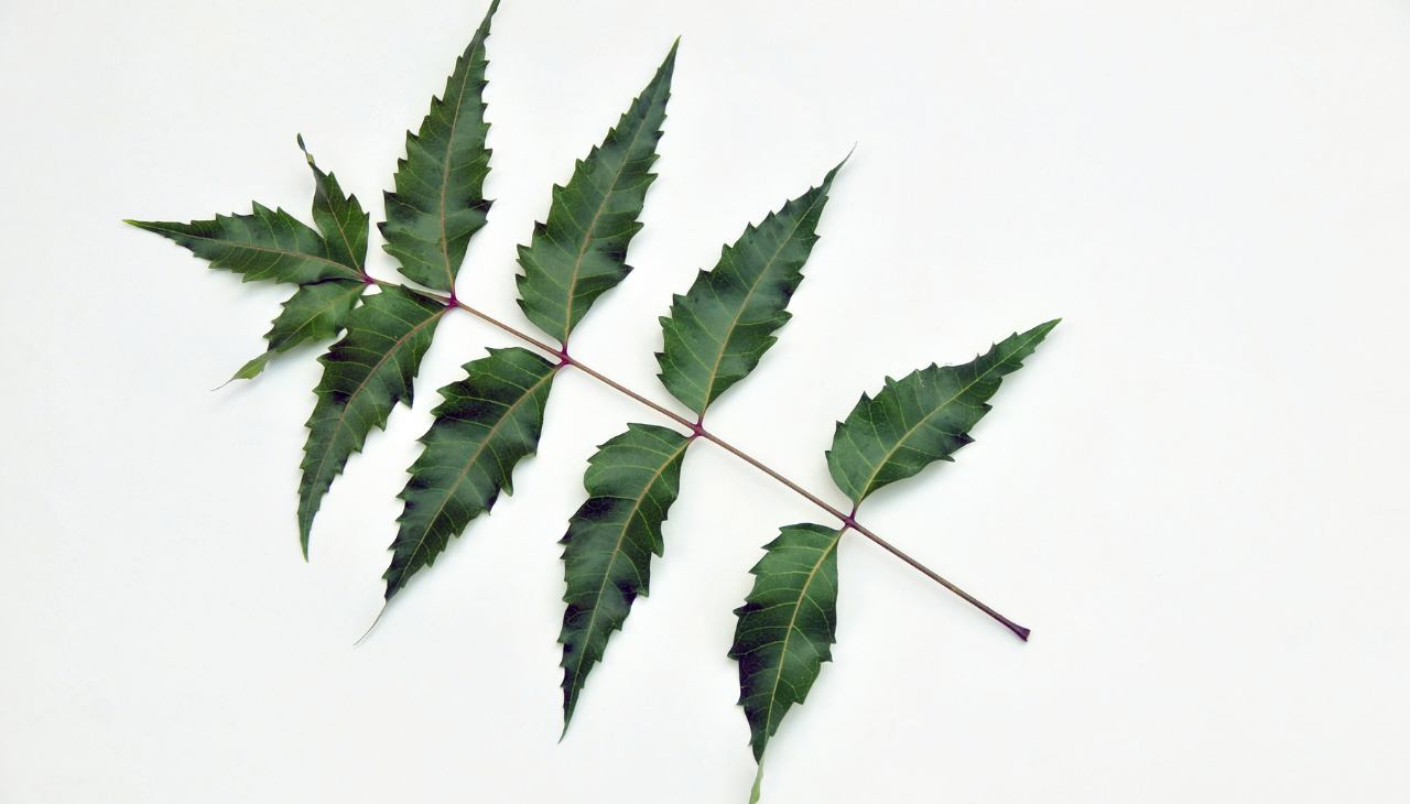 How Often to Use Neem Face Pack
