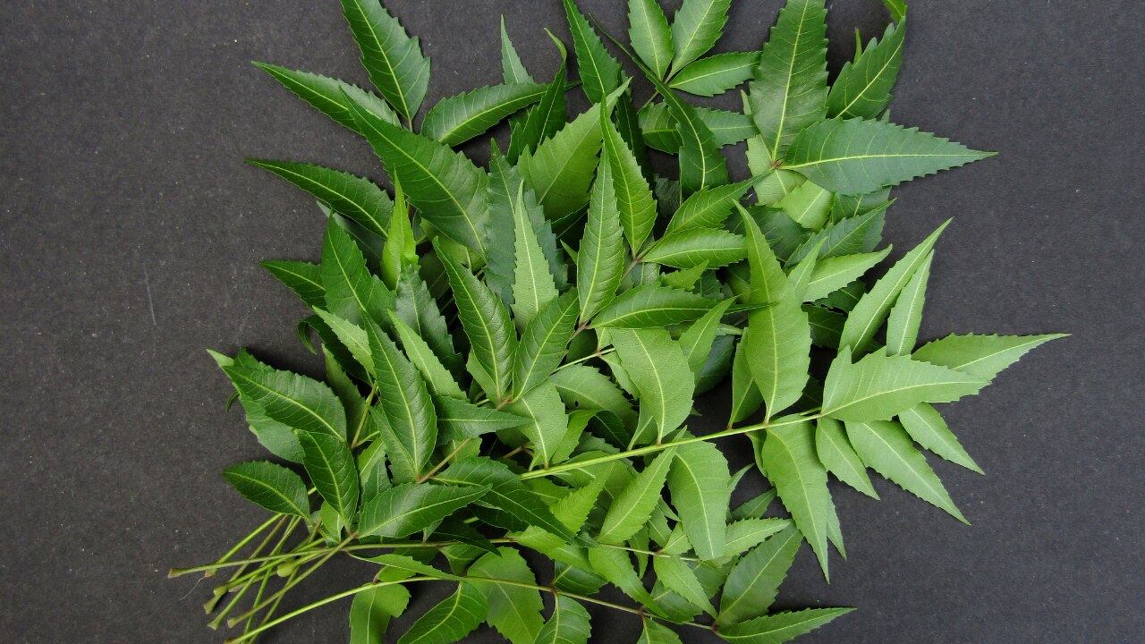 How to Make Neem Face Pack at Home