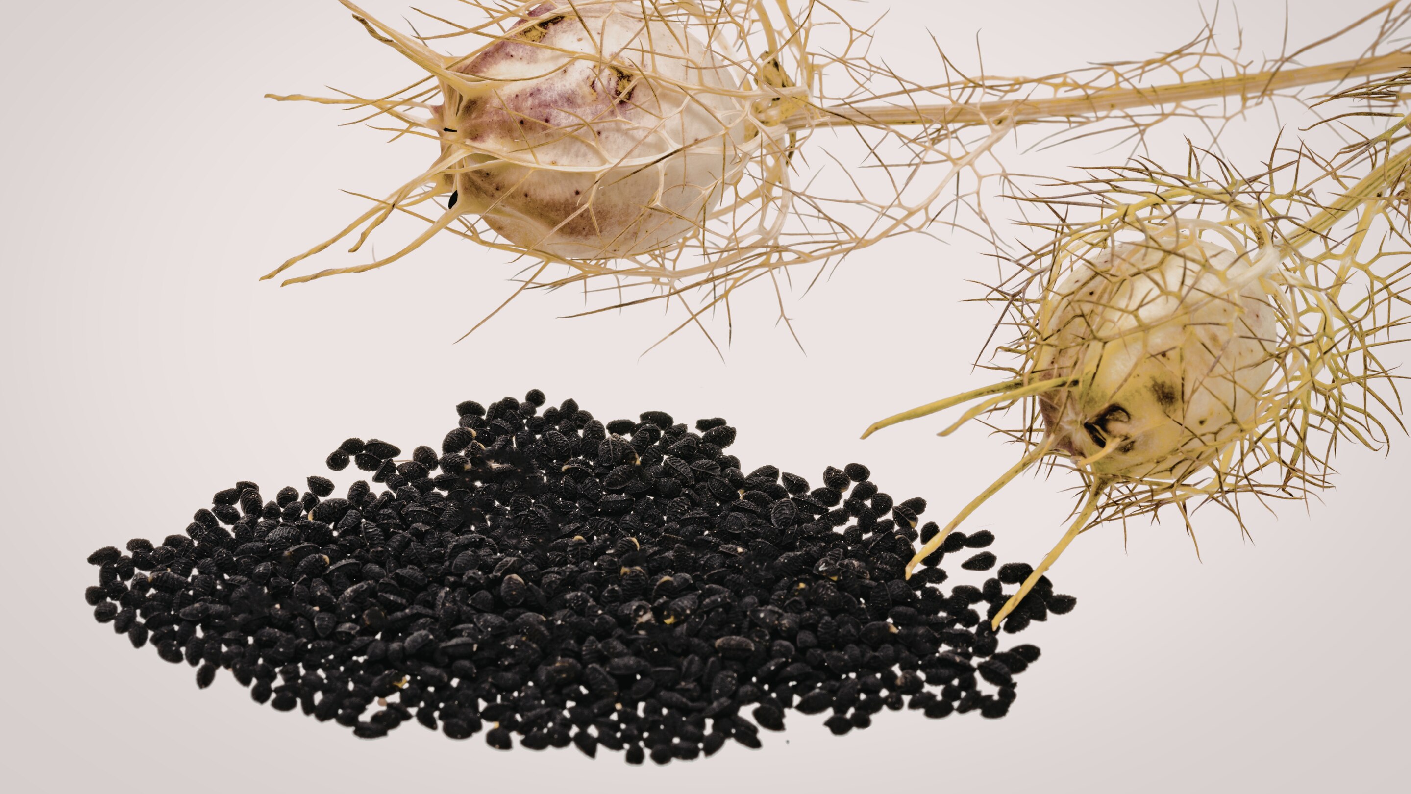 Who Should Avoid Kalonji