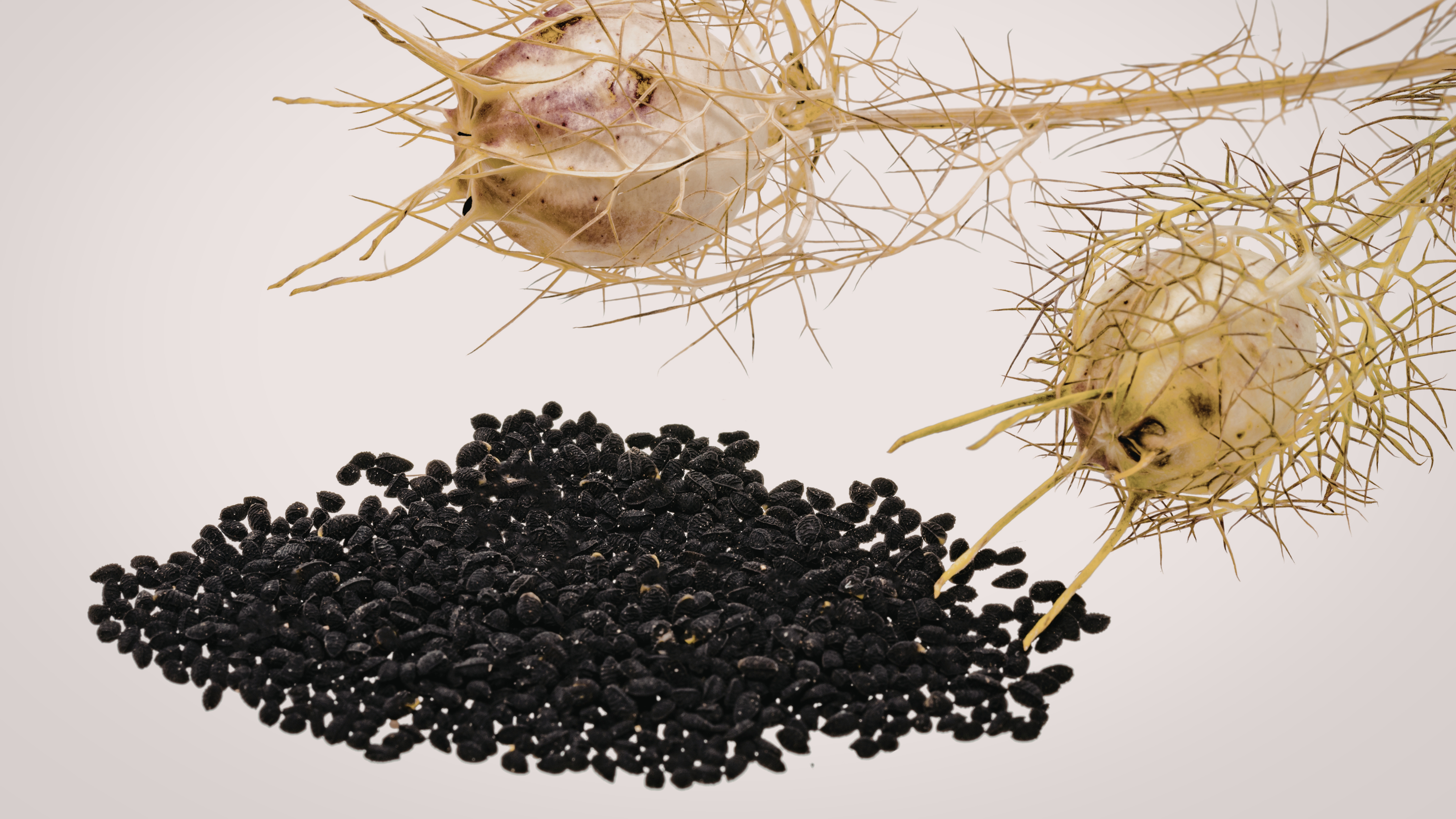 Who Should Avoid Kalonji
