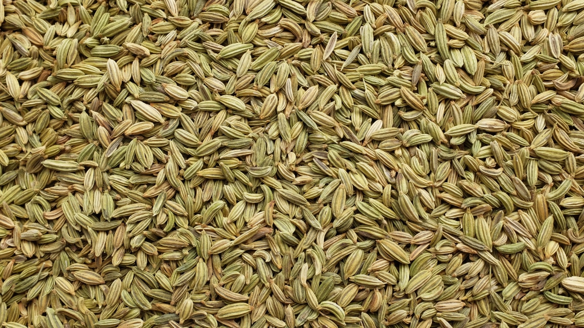 Fennel Seeds Benefits Nutrition and Uses Guide