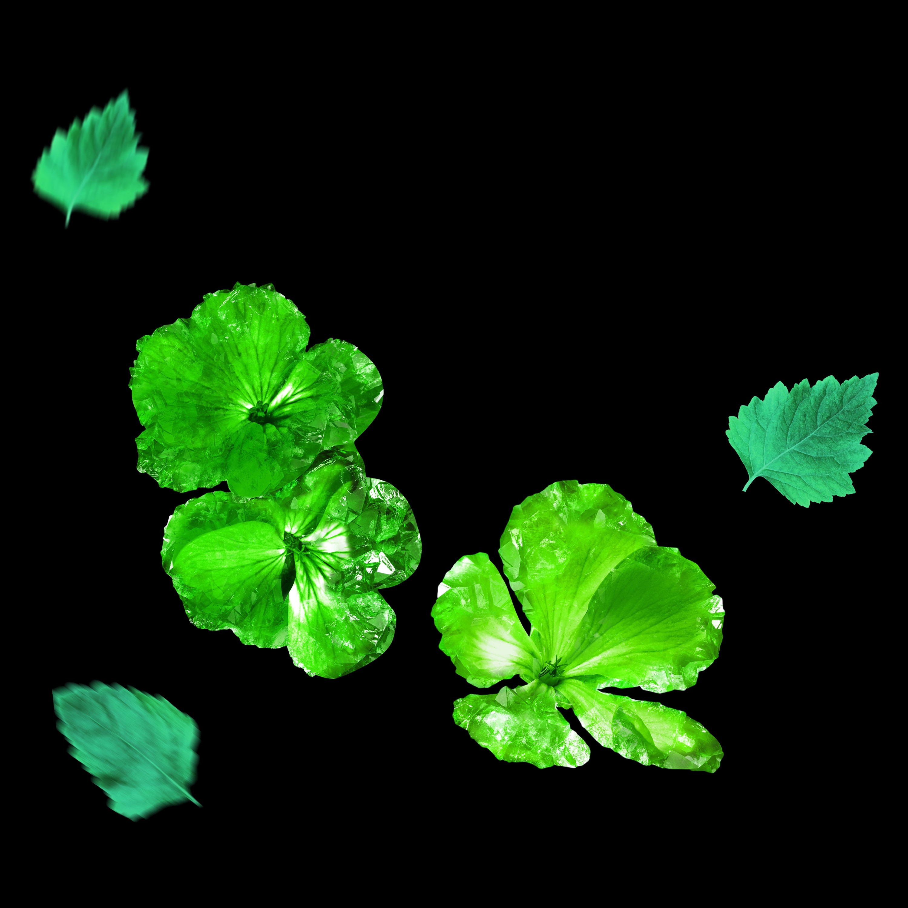 Green Geranium
