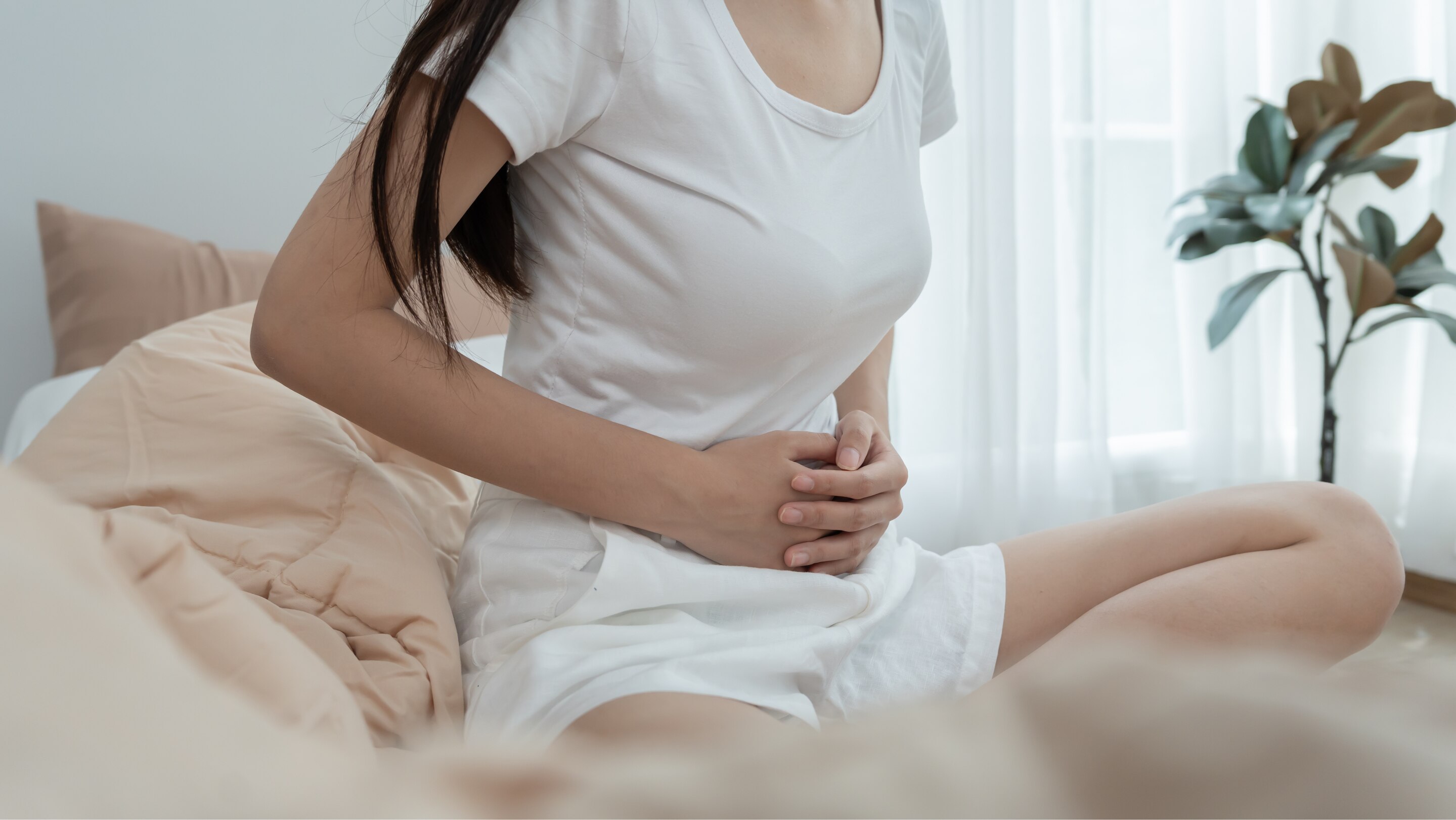 Supports Digestion: