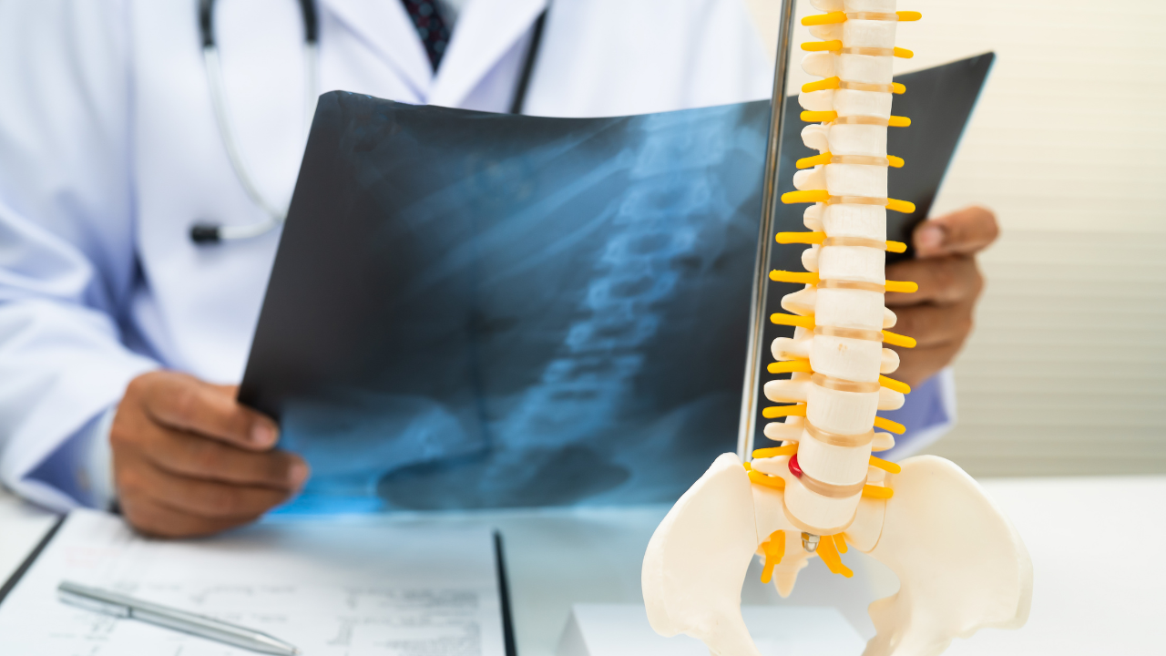 Strengthens Bones and Immunity: