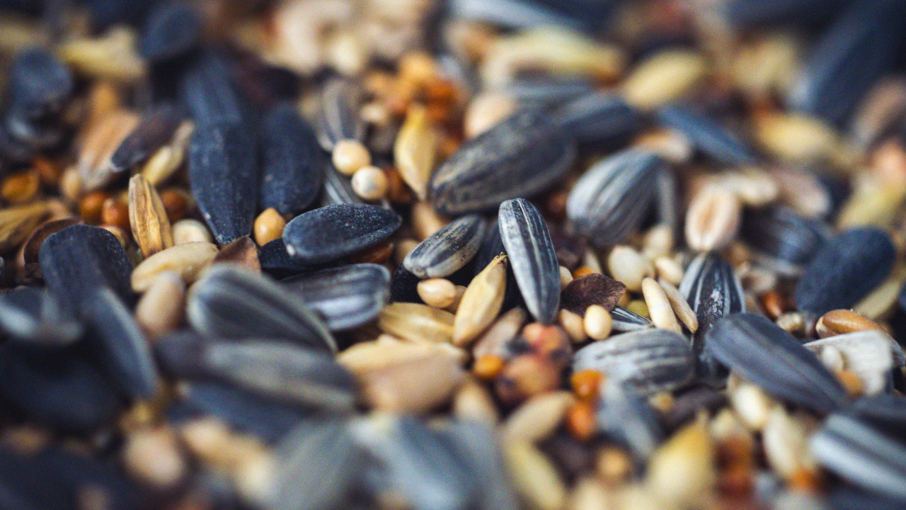 Nutritional Value of Sesame Seeds