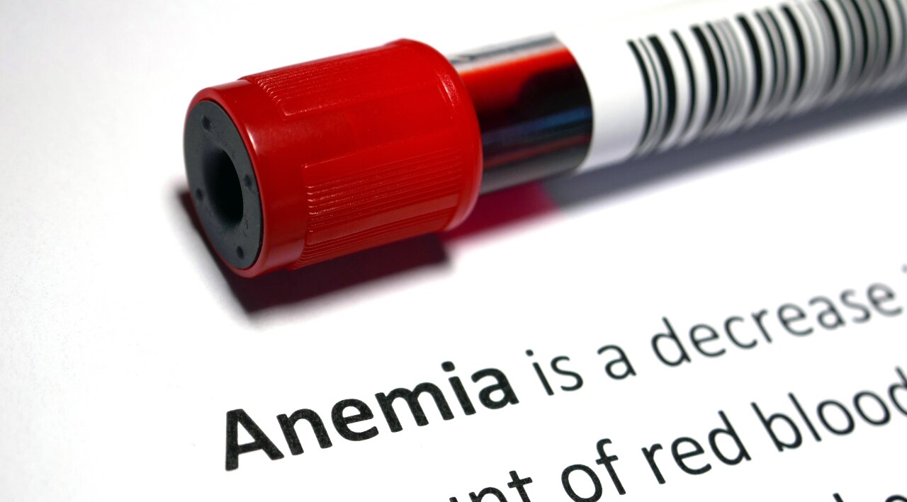 Supports Anaemia Prevention: