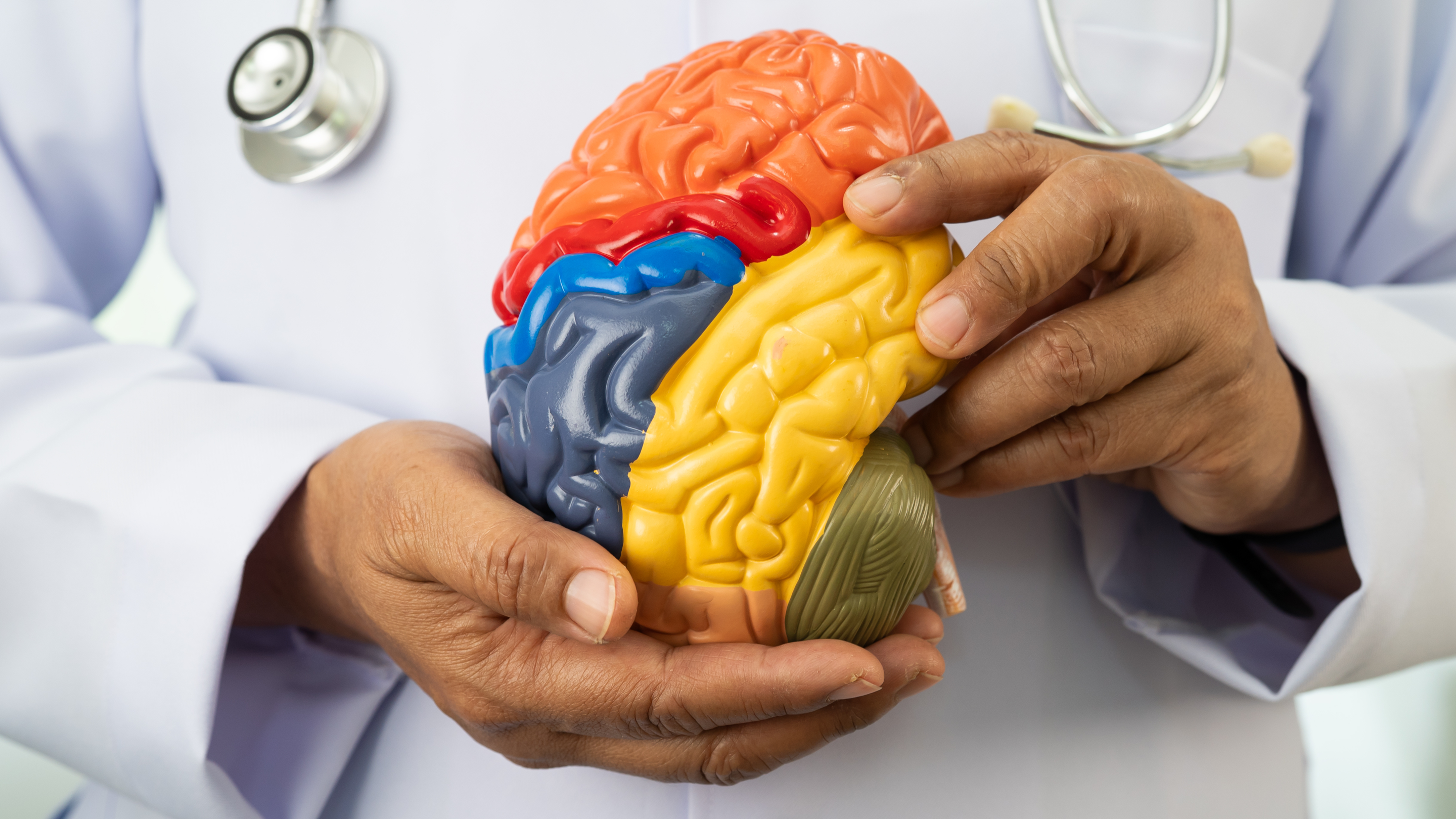Supports Brain Health: