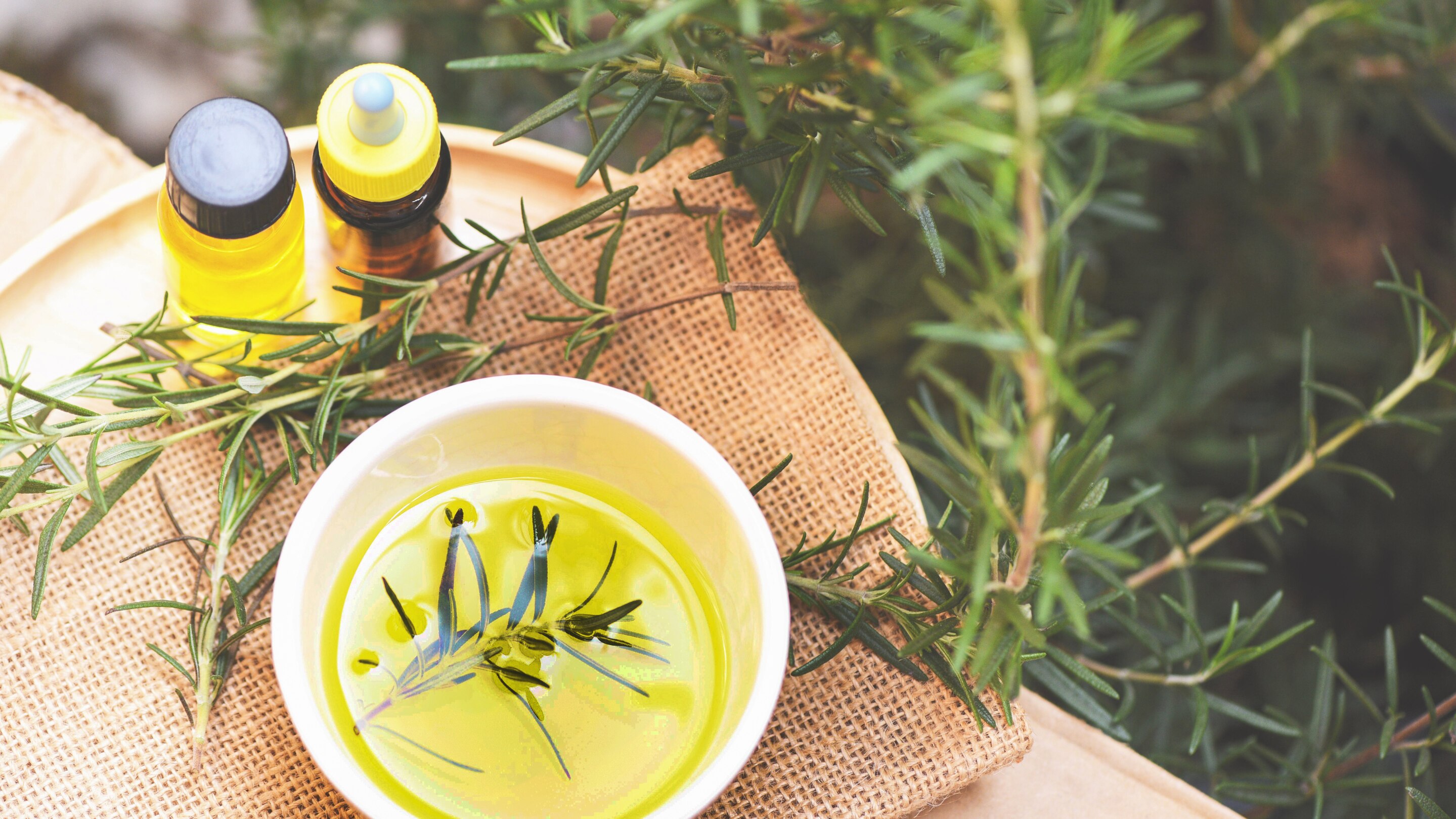 What Is Rosemary Oil?