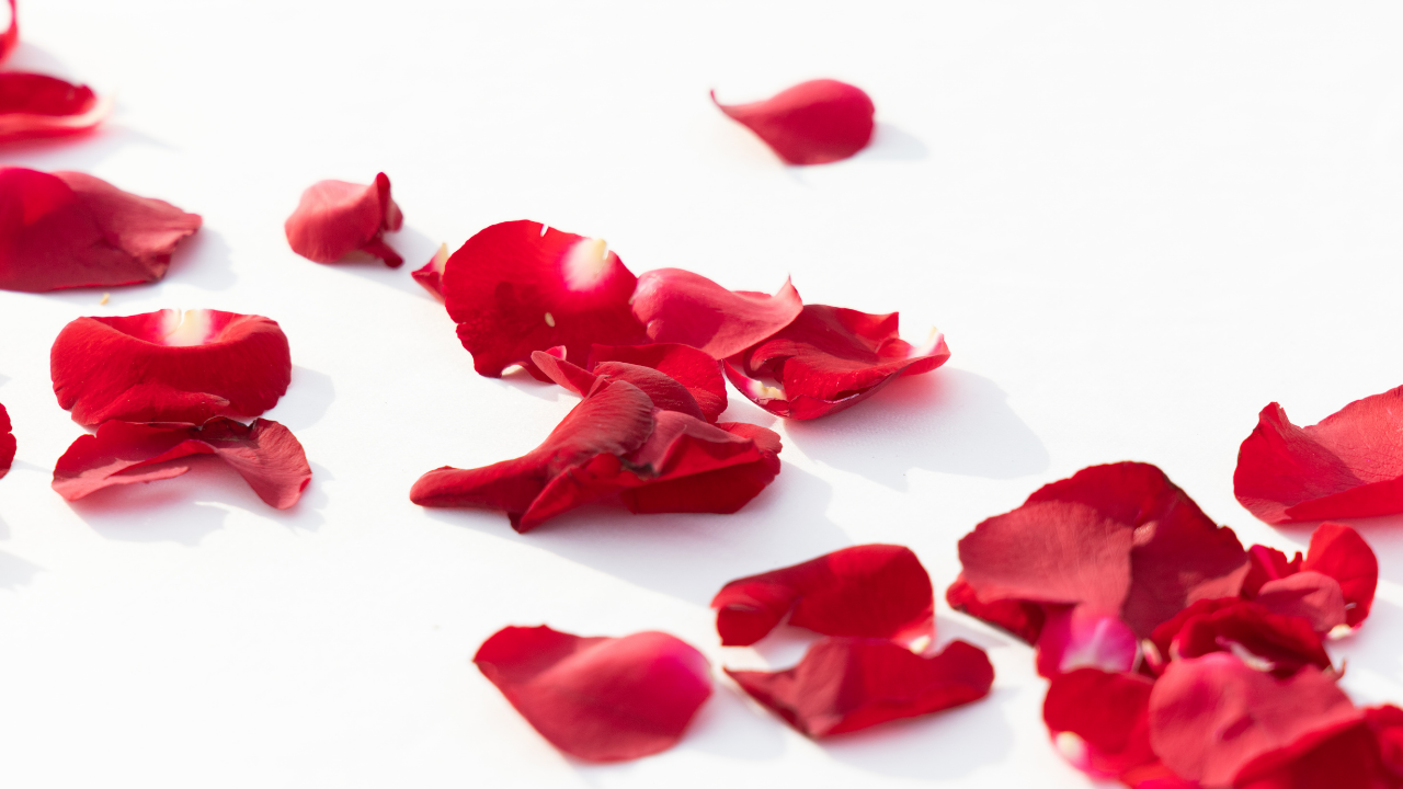 Things to Keep in Mind Before Making Rose Water