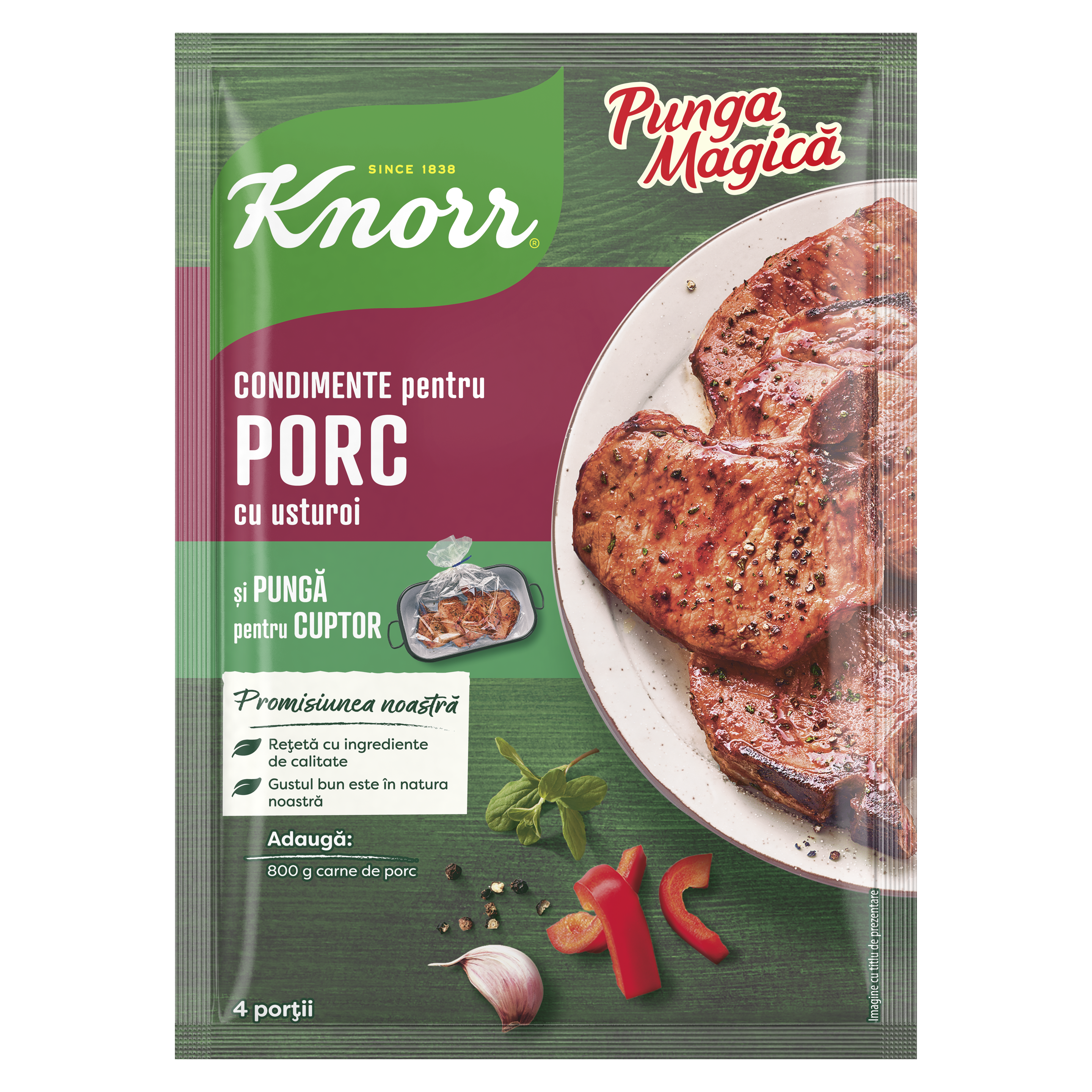 Knorr punga magica porc cu usturoi packshot