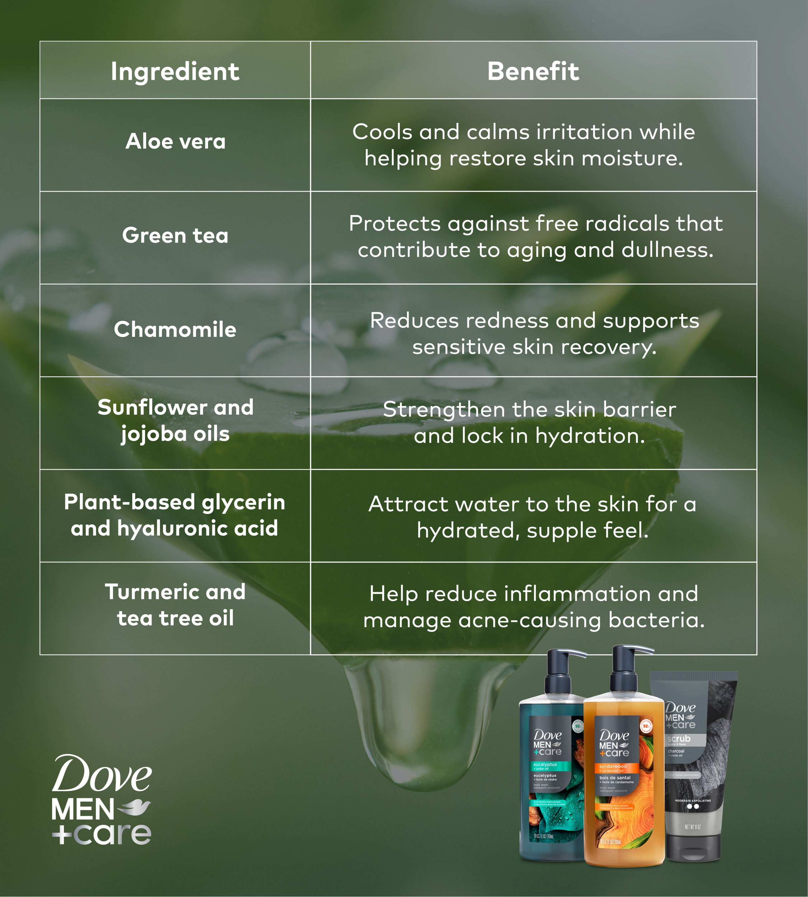 infographic explaining plant-based skincare ingredients