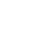 Tiktok Social Icon