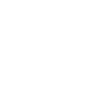 Pinterest Social Icon