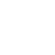 Facebook Social Icon