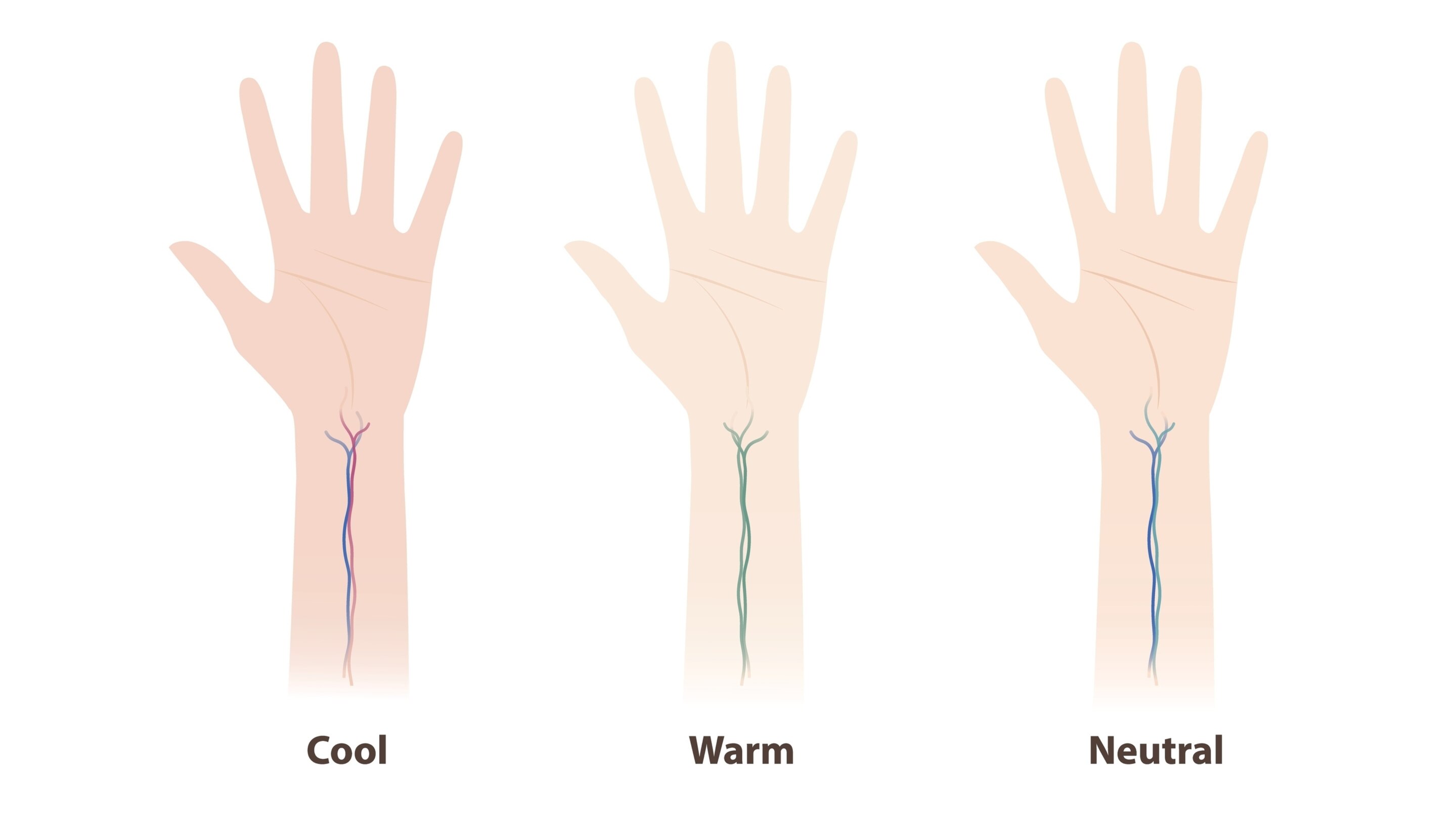 How to Identify Your Undertone