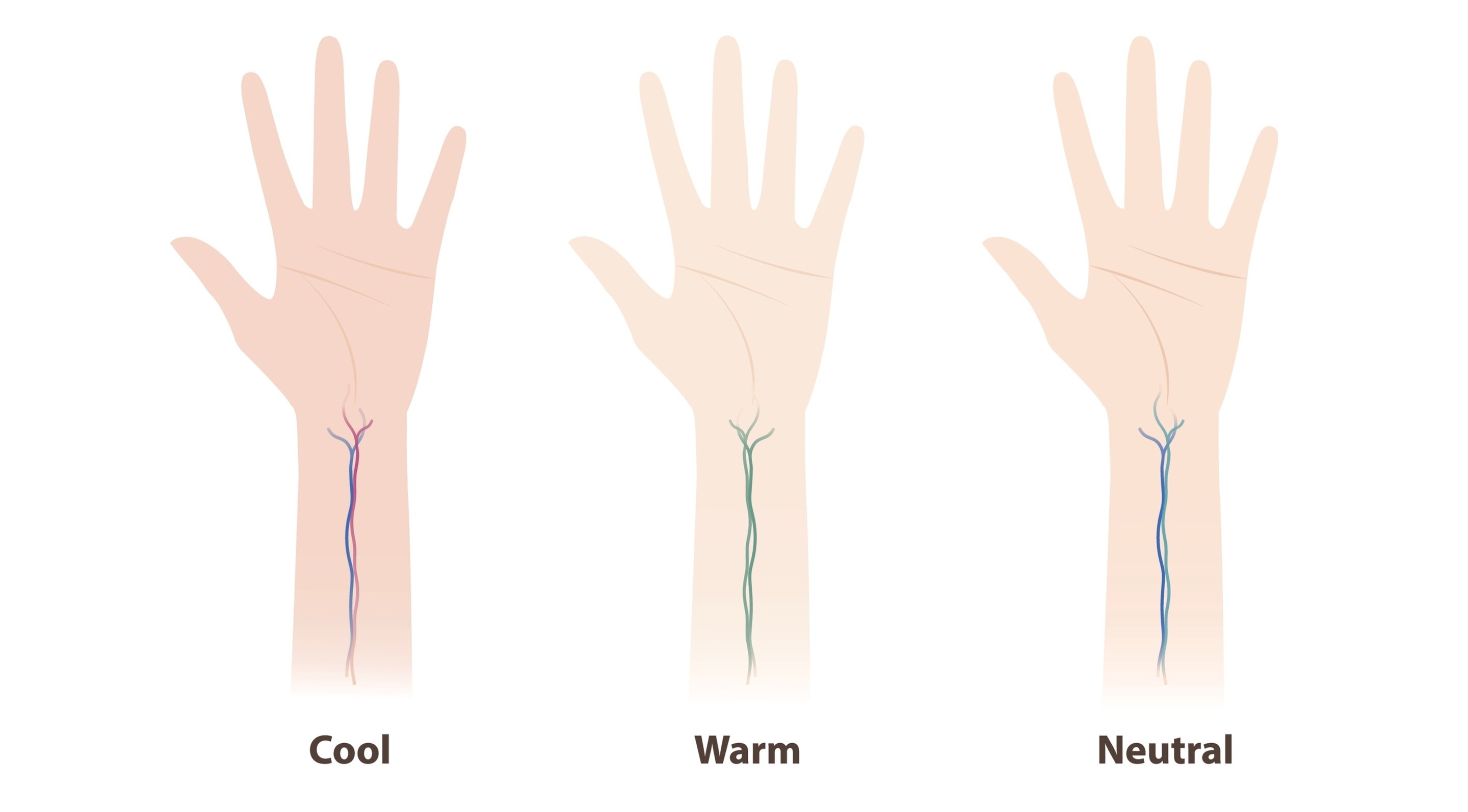 How to Identify Your Undertone