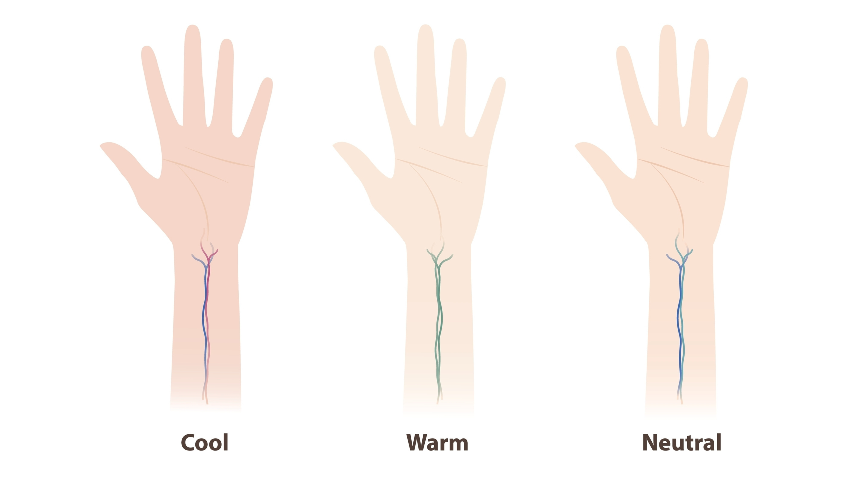 How to Identify Your Undertone