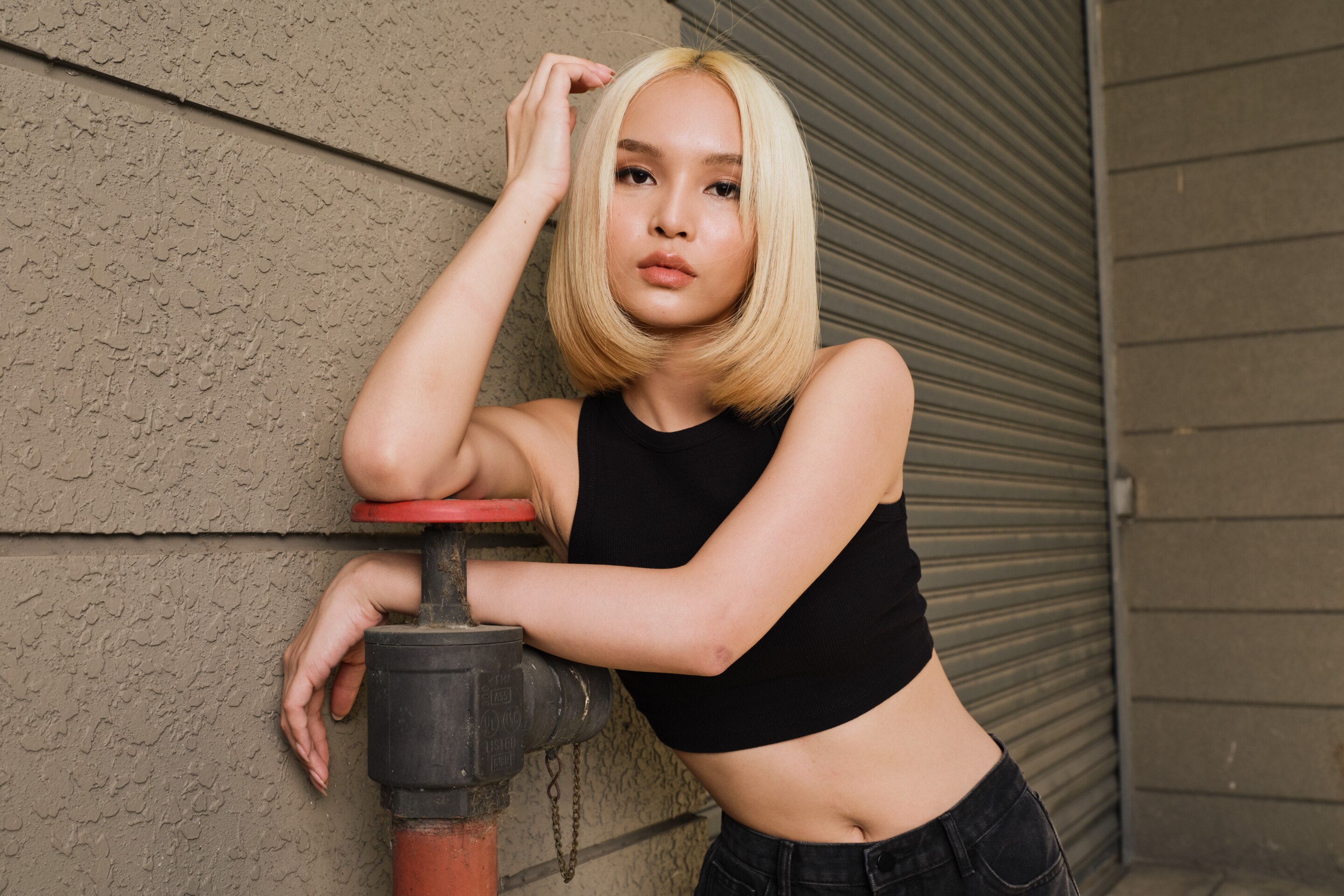 a model with straight black hair styled in a updo