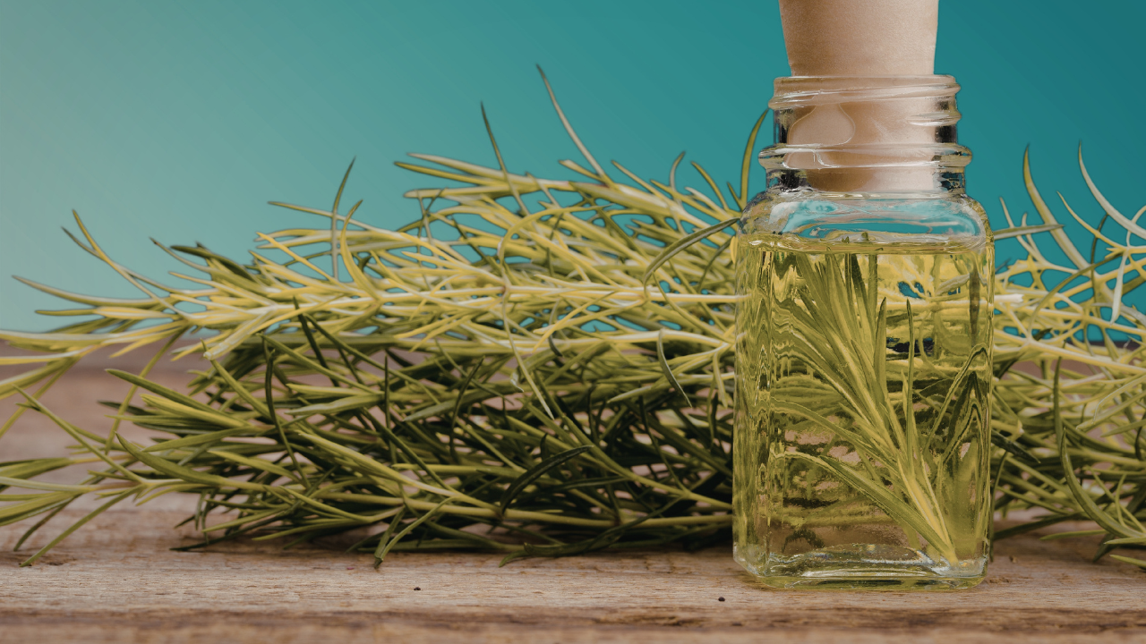 What Are Rosemary Leaves?
