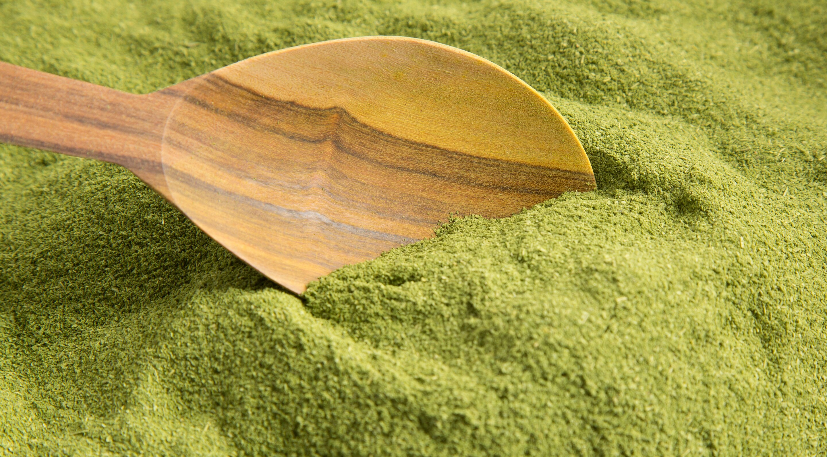 Best Time to Take Moringa Powder