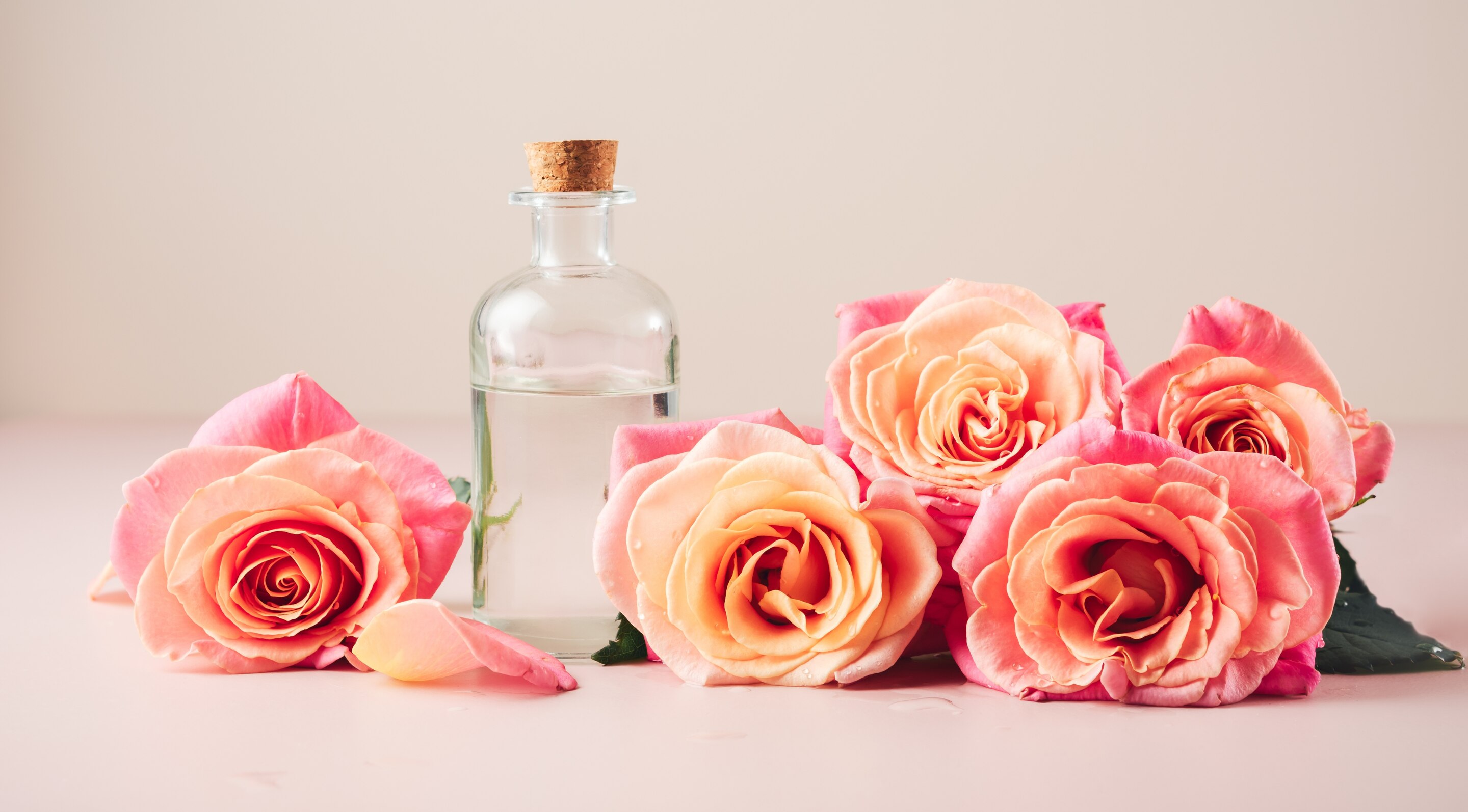 Is Rose Water Good for Face?