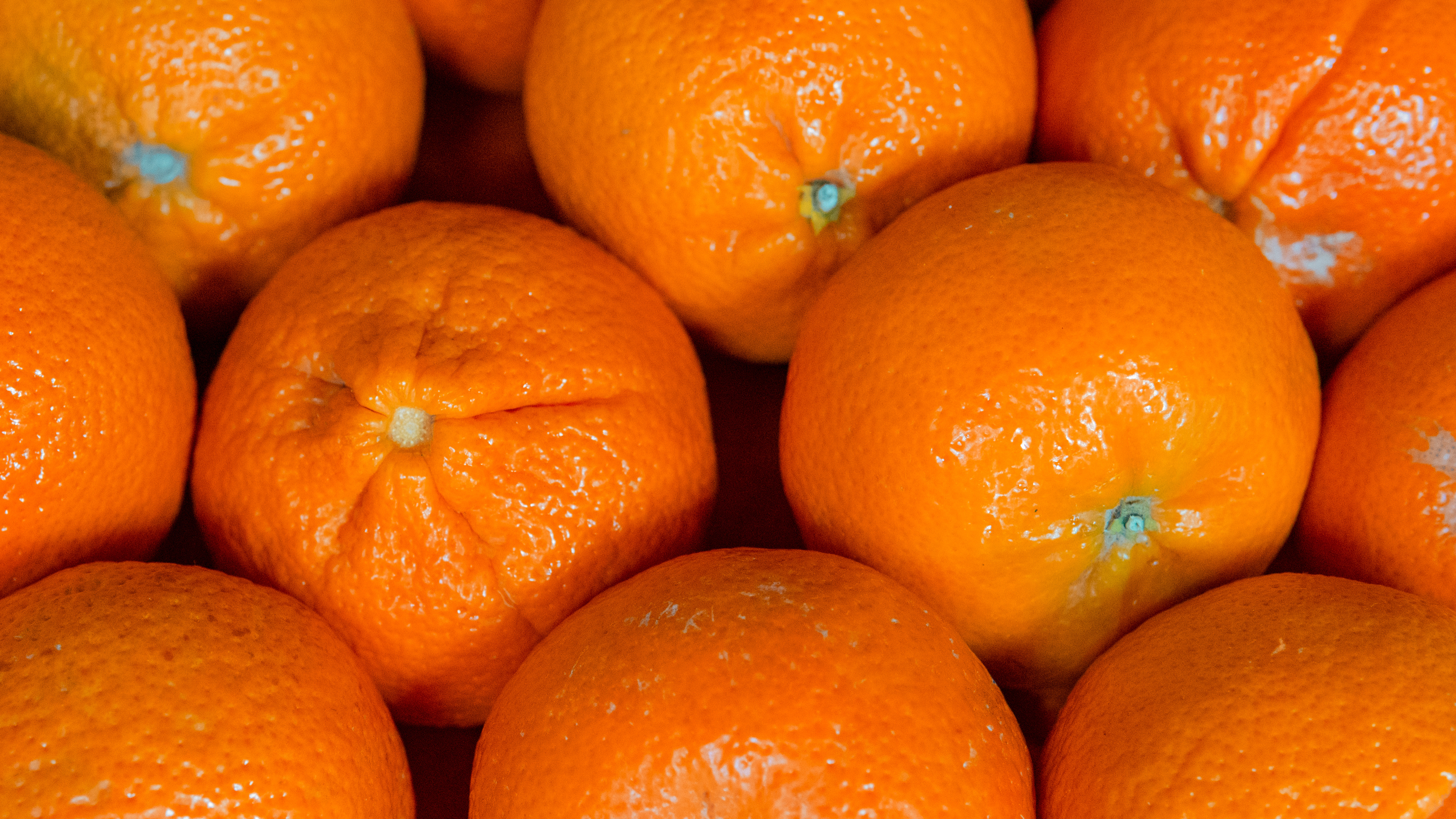 Step 1: : Choose Fresh, Ripe Oranges Image