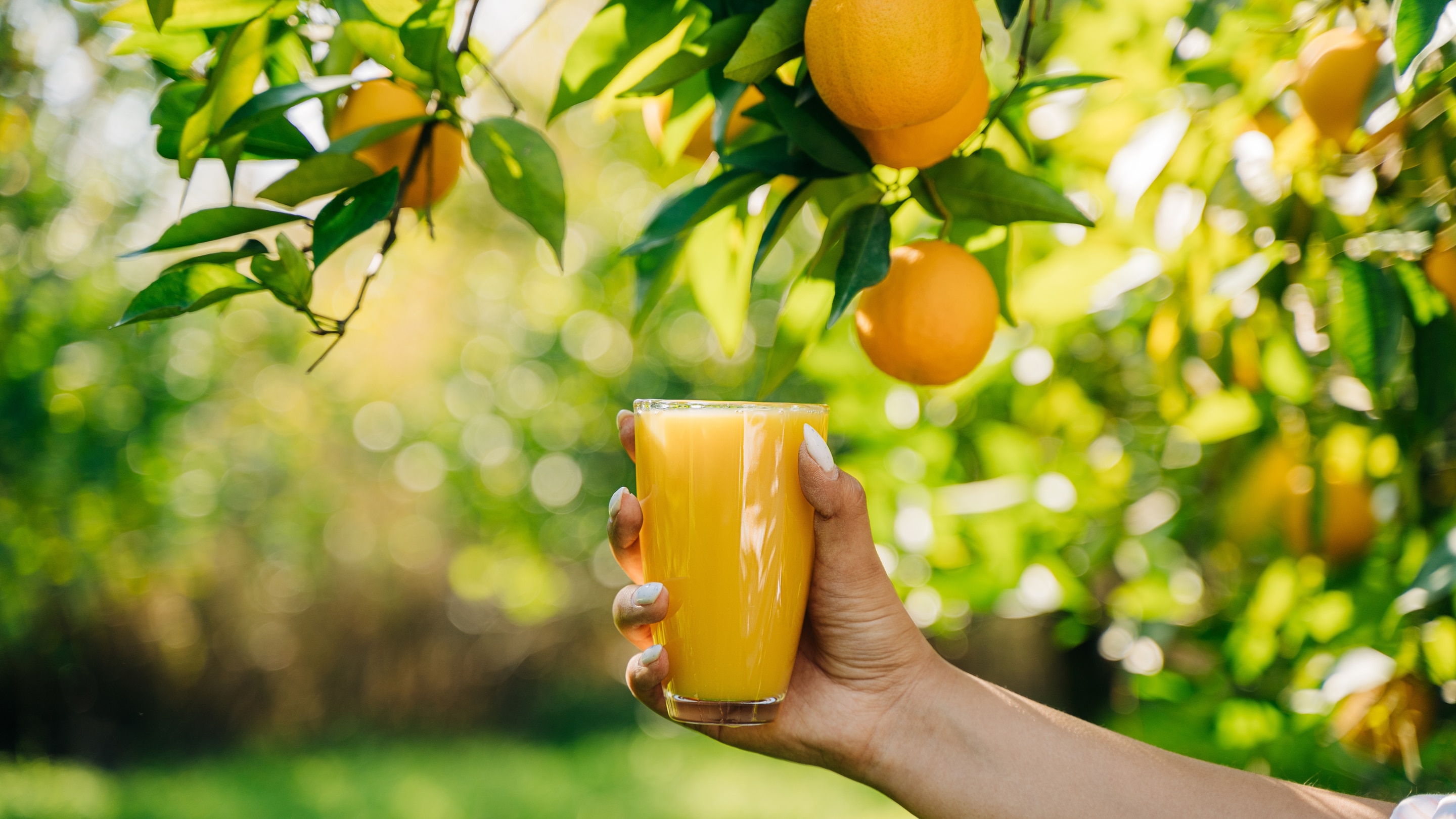 linking article: Orange Juice Benefits: Key Benefits, Best Time to Drink & How Much to Consume