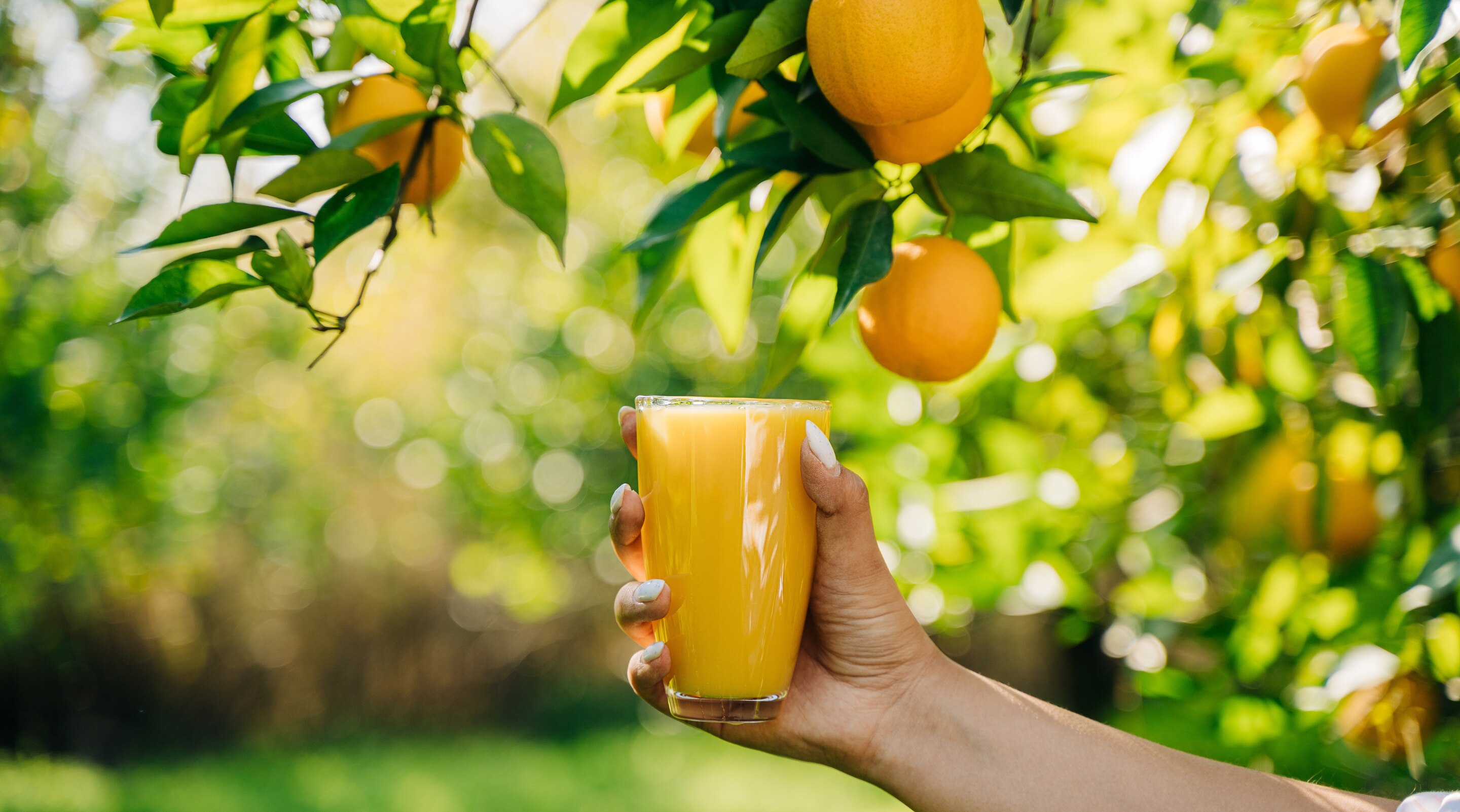 Orange Juice Benefits Best Time to Drink and Quantity