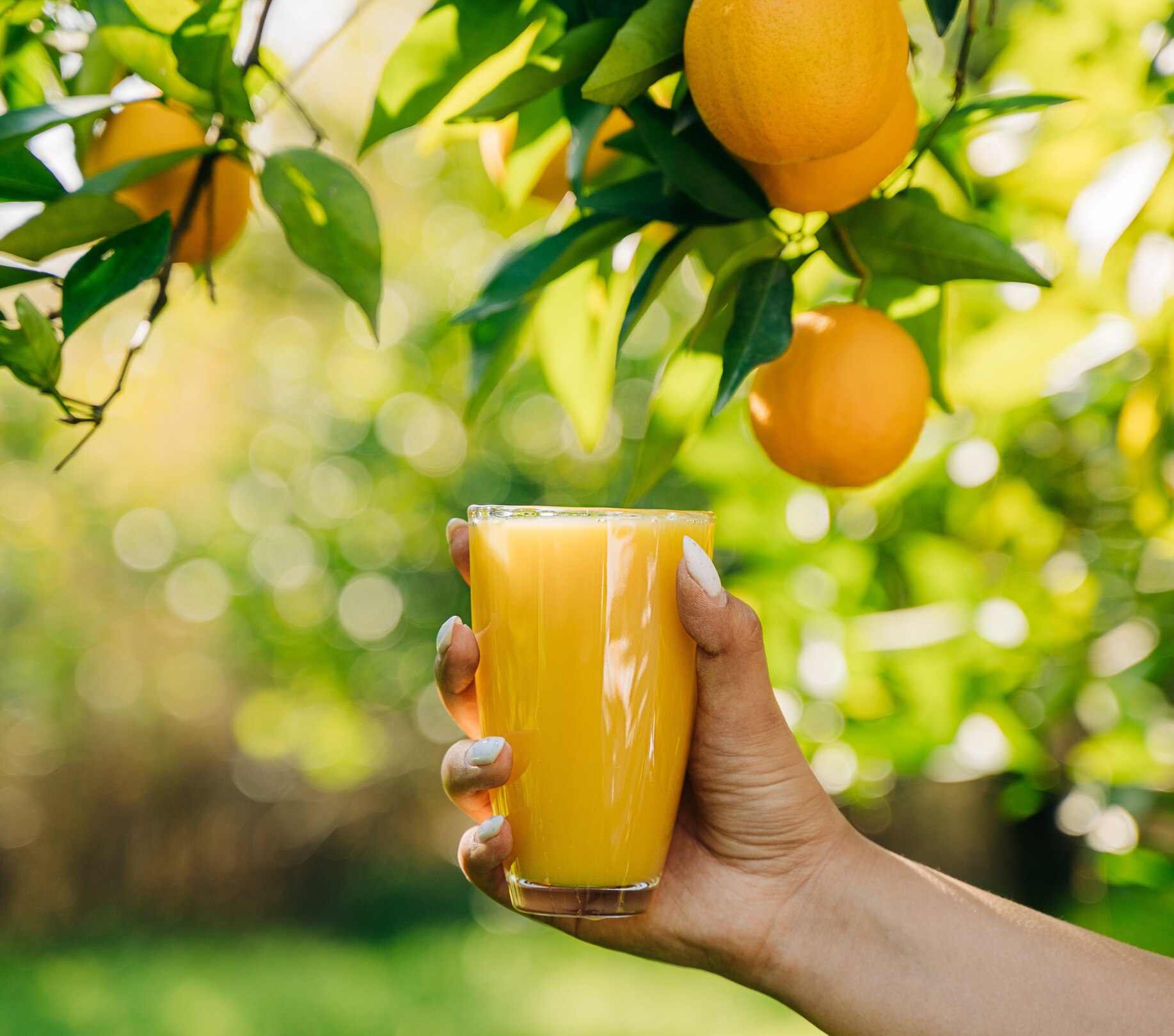 Image of Orange Juice Benefits: Key Benefits, Best Time to Drink & How Much to Consume