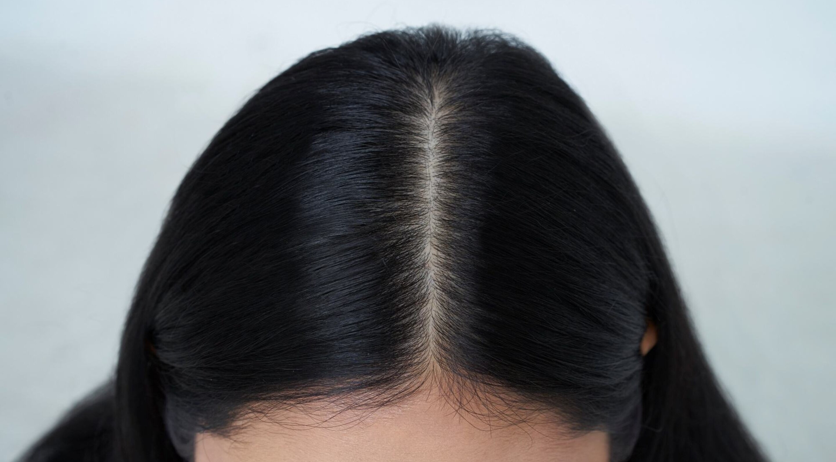 Section Your Hair Image