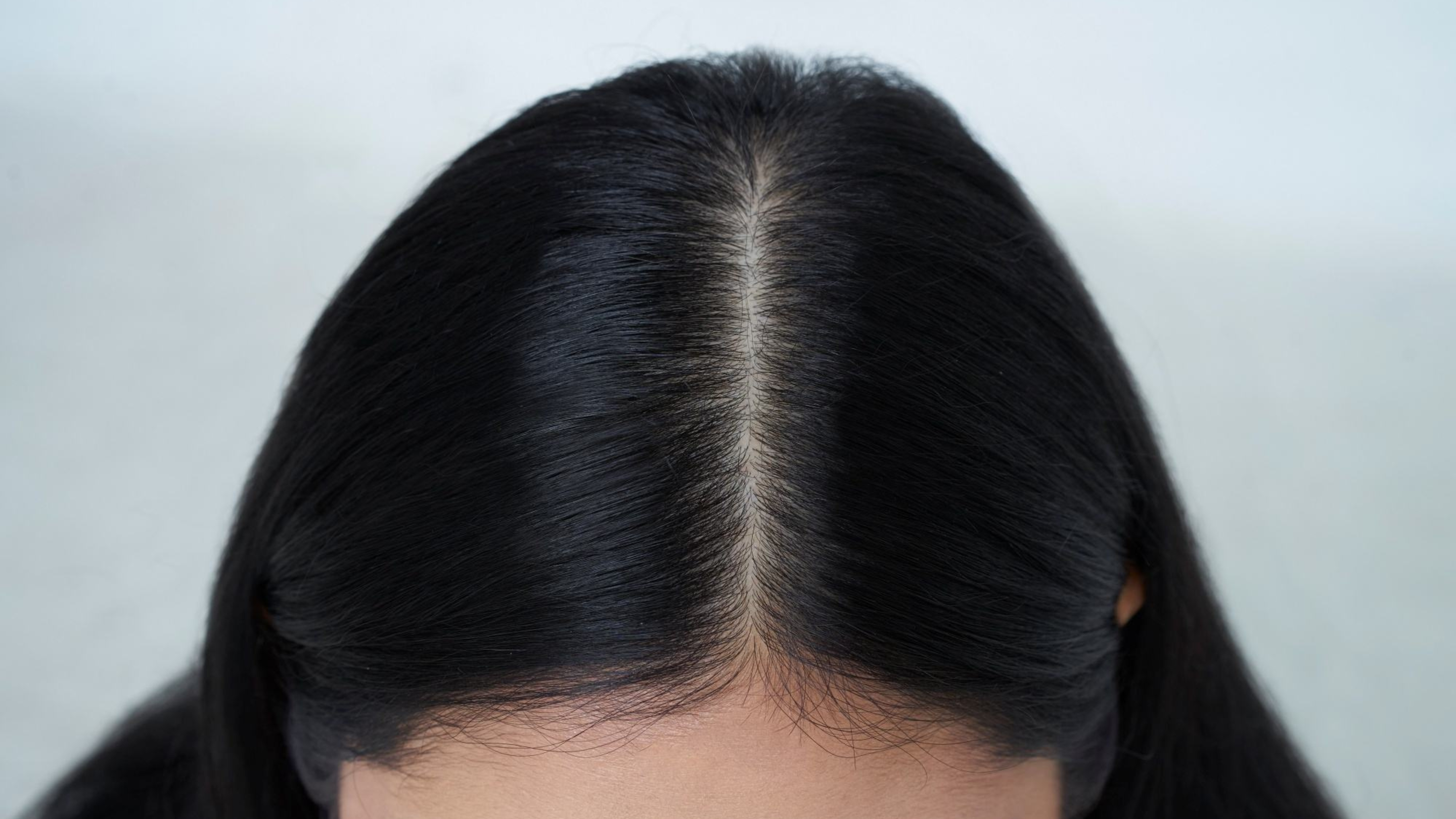 Section Your Hair Image