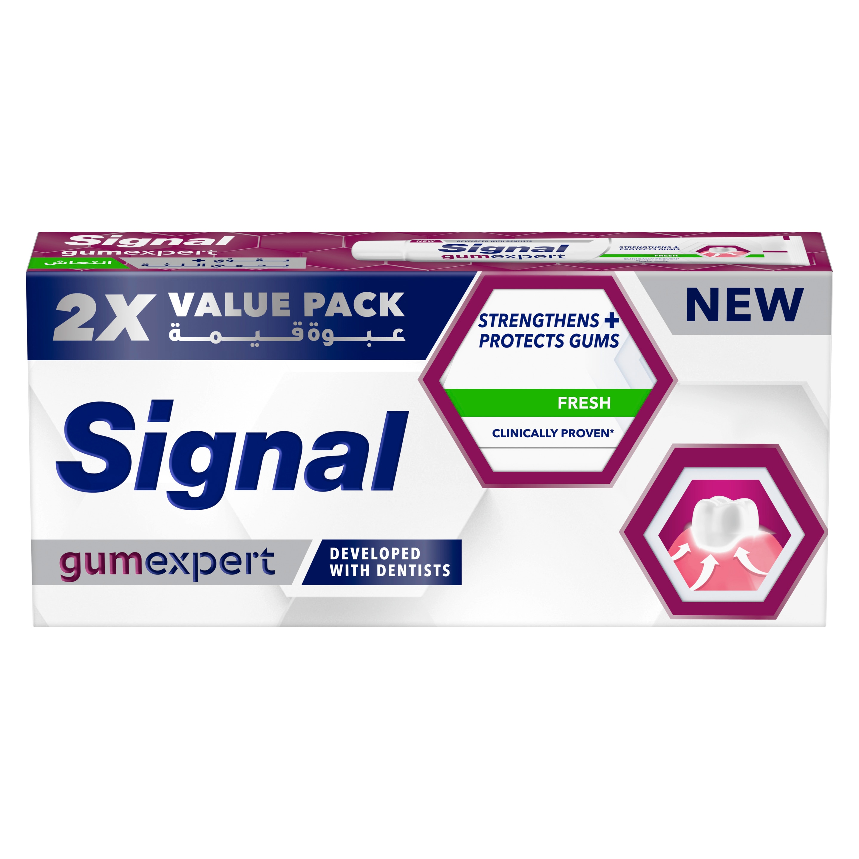 SIGNAL Gum Expert Toothpaste, Fresh, Strengthens and Protects Gums, with Active Zinc and Vitamin E, Targets Plaque, 75ml(Pack of 2) packshot
