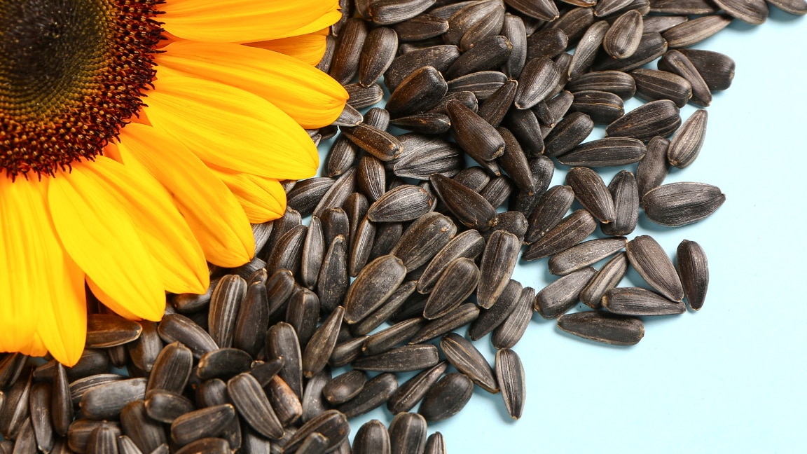 linking article: Sunflower Seeds Benefits: Nutrition, How to Eat  & Side Effects