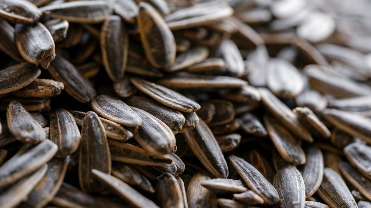 What Are Sunflower Seeds?