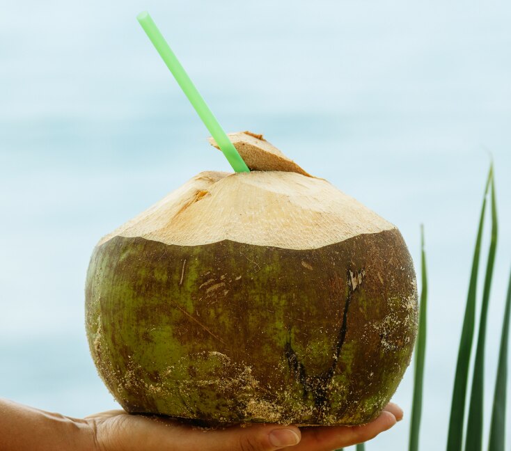 Image of Coconut Water for Hair: Benefits, How to Use & What Results to Expect