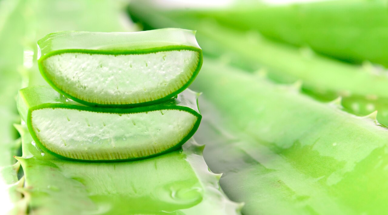 3. Aloe Vera Gel Mask