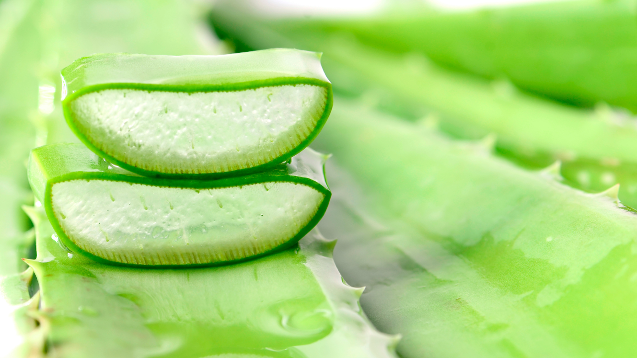 3. Aloe Vera Gel Mask