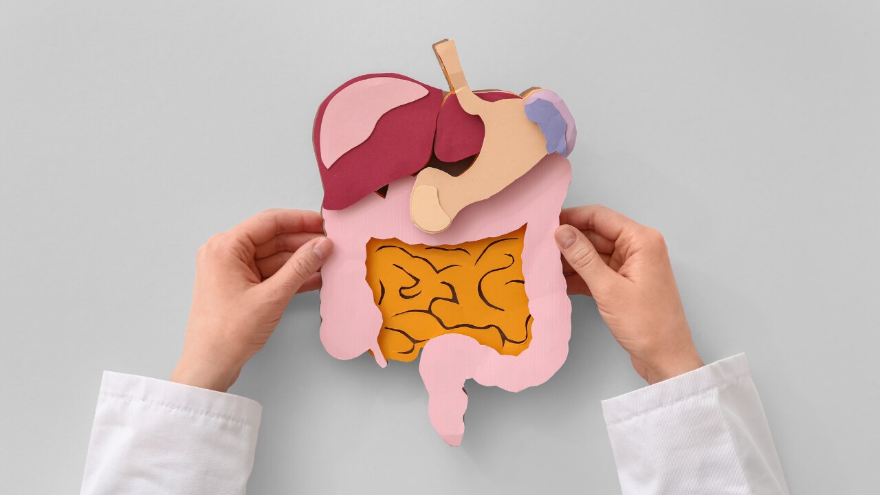 Aids Digestion