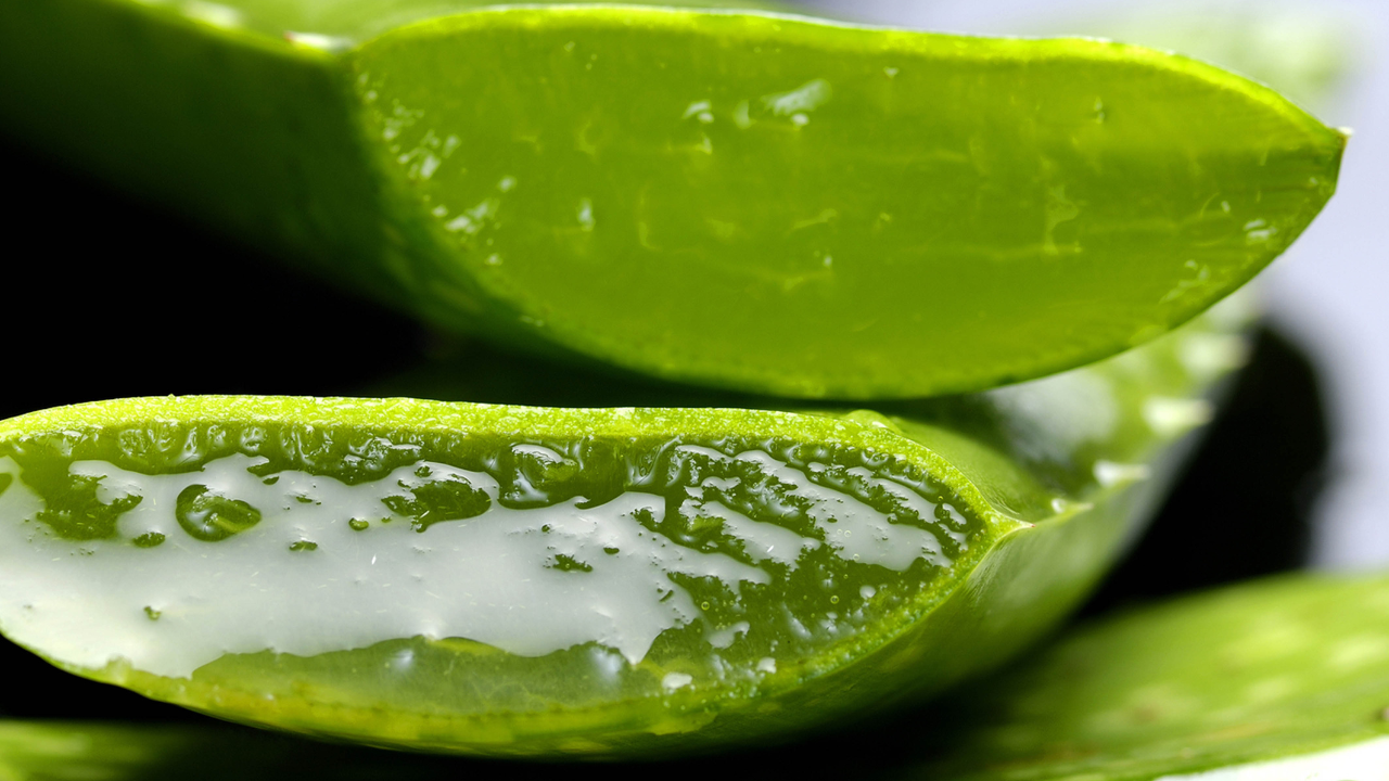 1. Gram Flour & Aloe Vera Pack