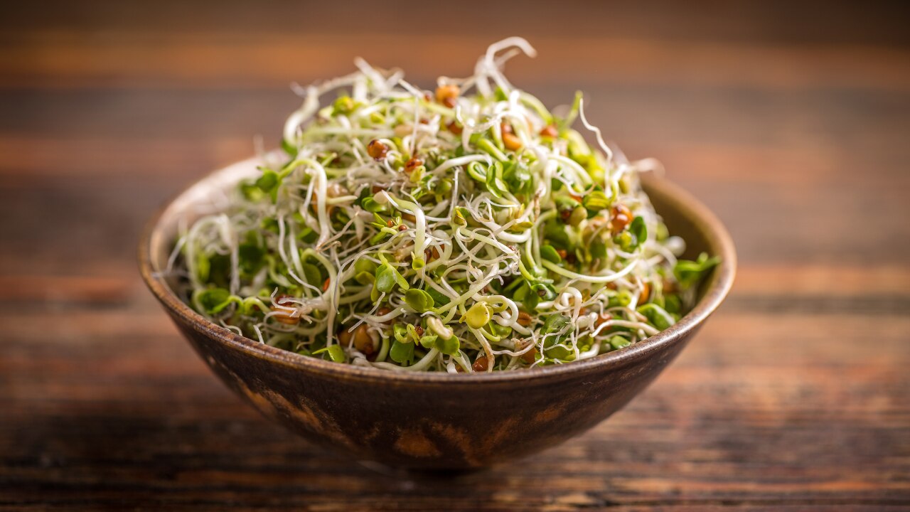 Sprouted: