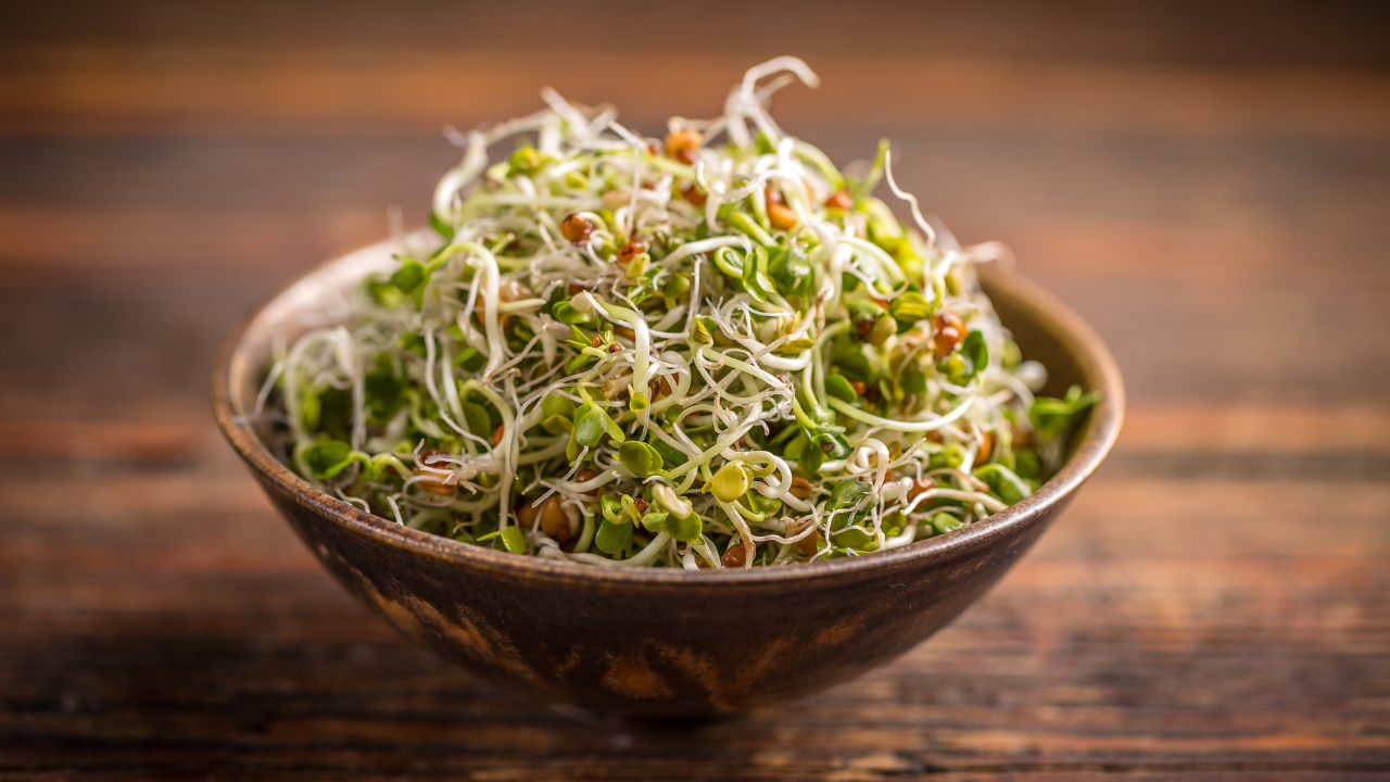 Sprouted: