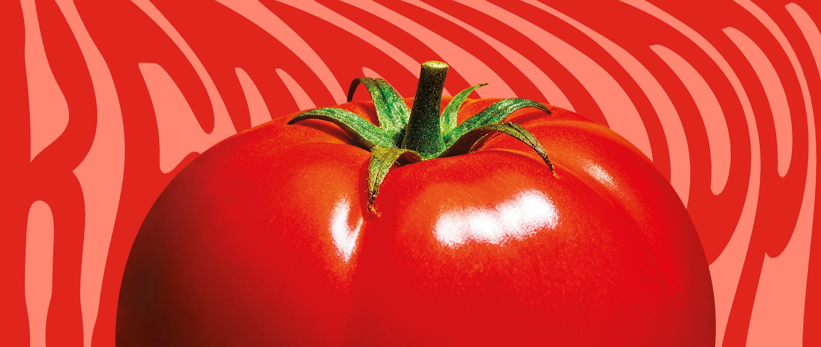 Ketchup