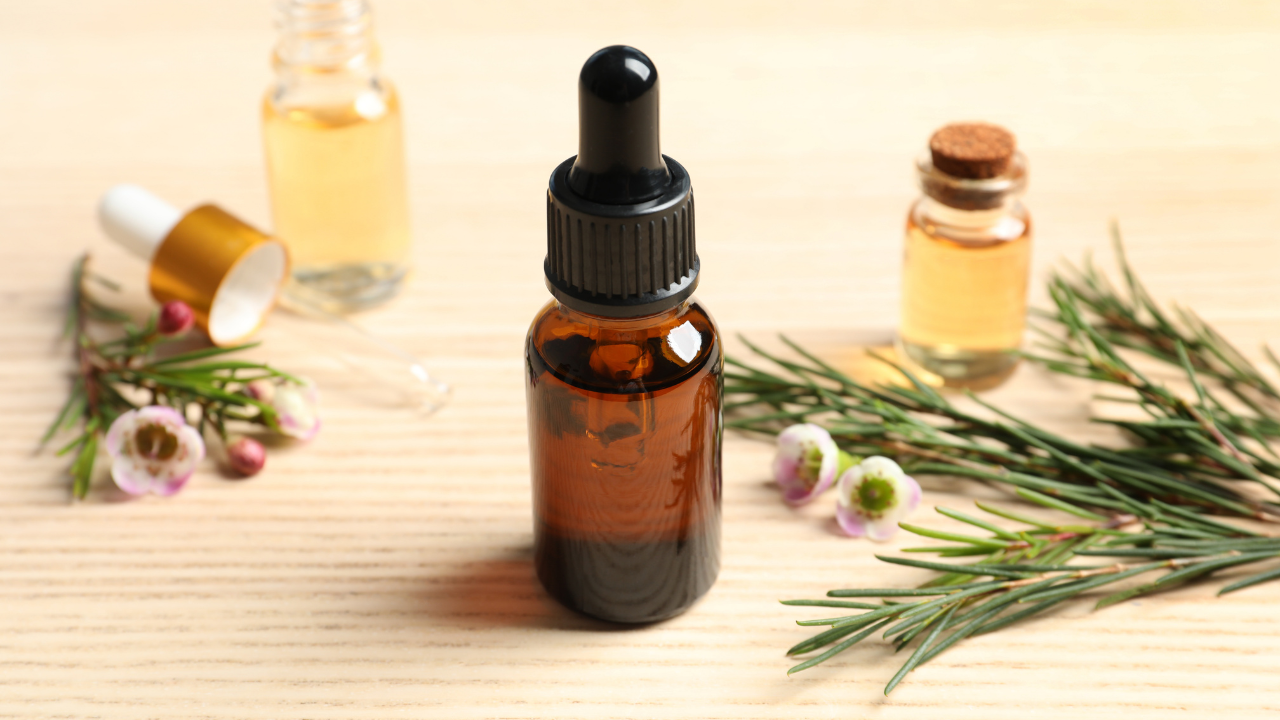 What Is Tea Tree Oil? – Understanding the Basics
