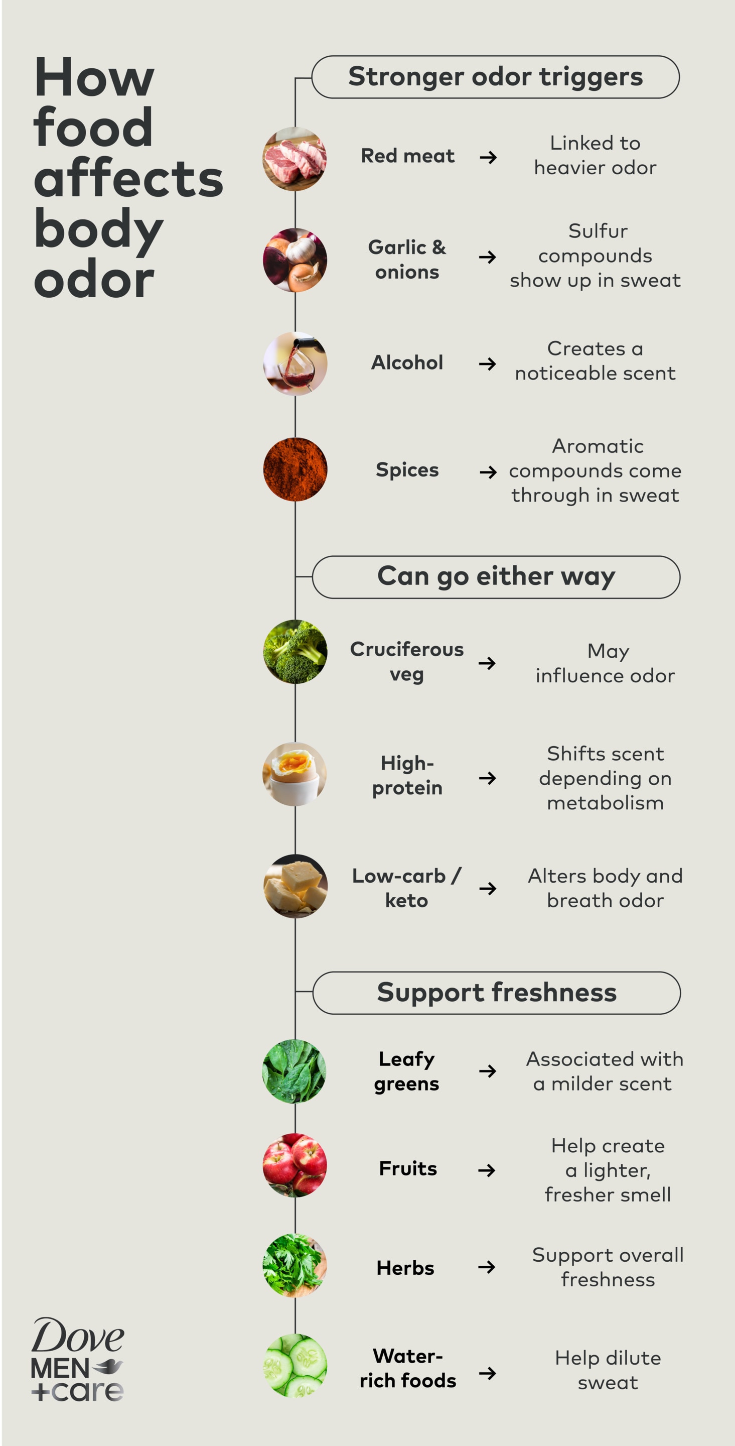 Infographic showing how different foods affect body odor, including odor-causing foods like red meat, garlic, alcohol, and spices, and fresher options like fruits, herbs, and water-rich foods.