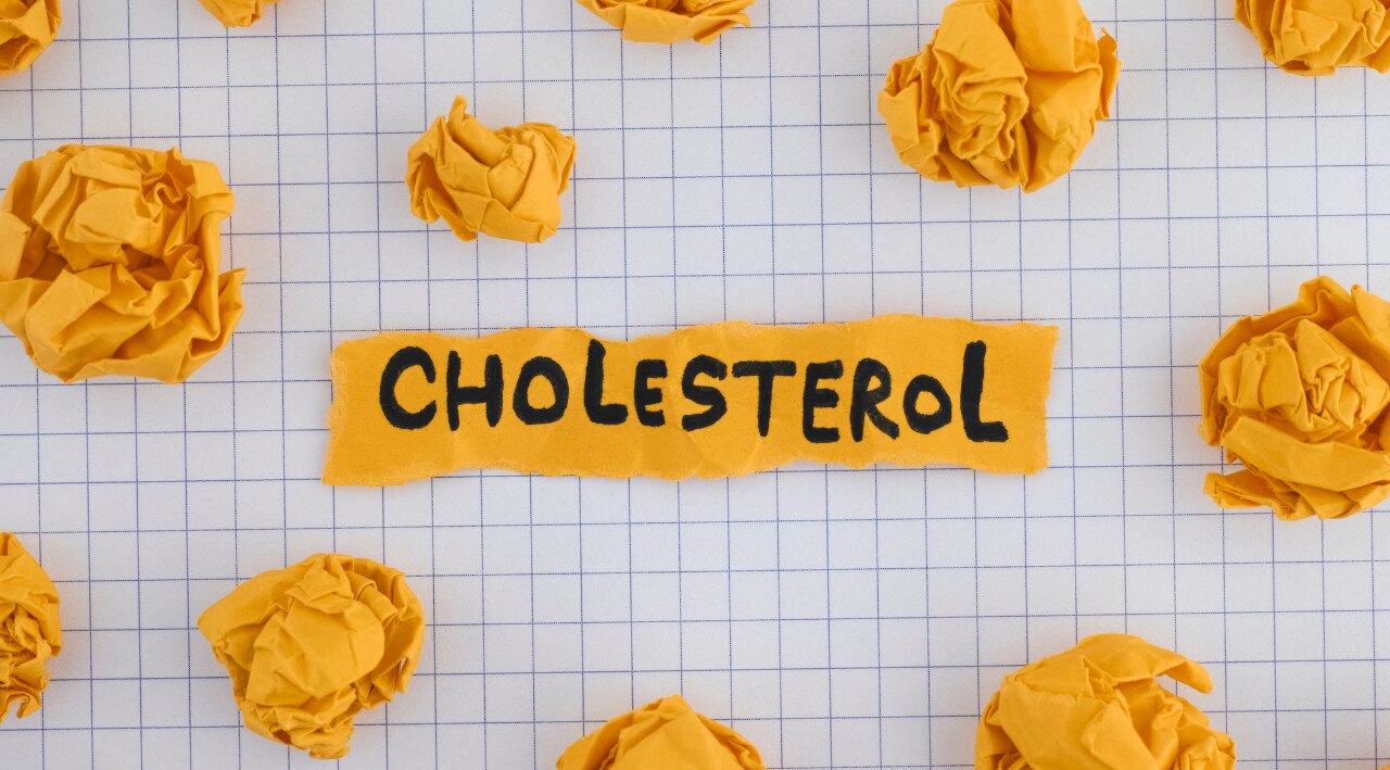 May Improve Cholesterol Levels