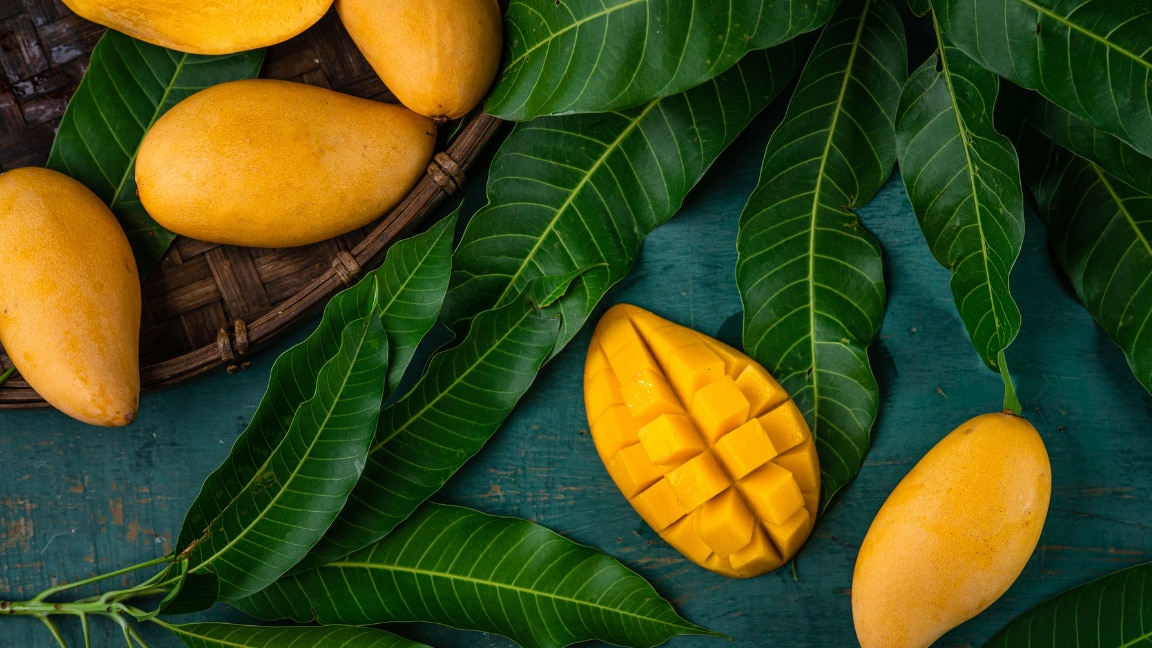 Mango Benefits for Skin and Skincare Routine Tips