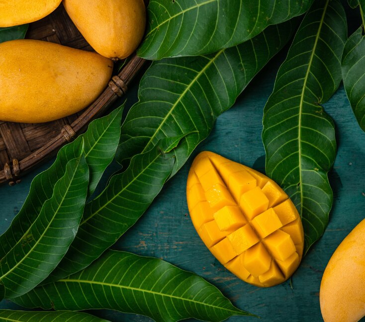 Image of Mango Benefits for Skin: Uses & How to Add It to Your Skincare Routine
