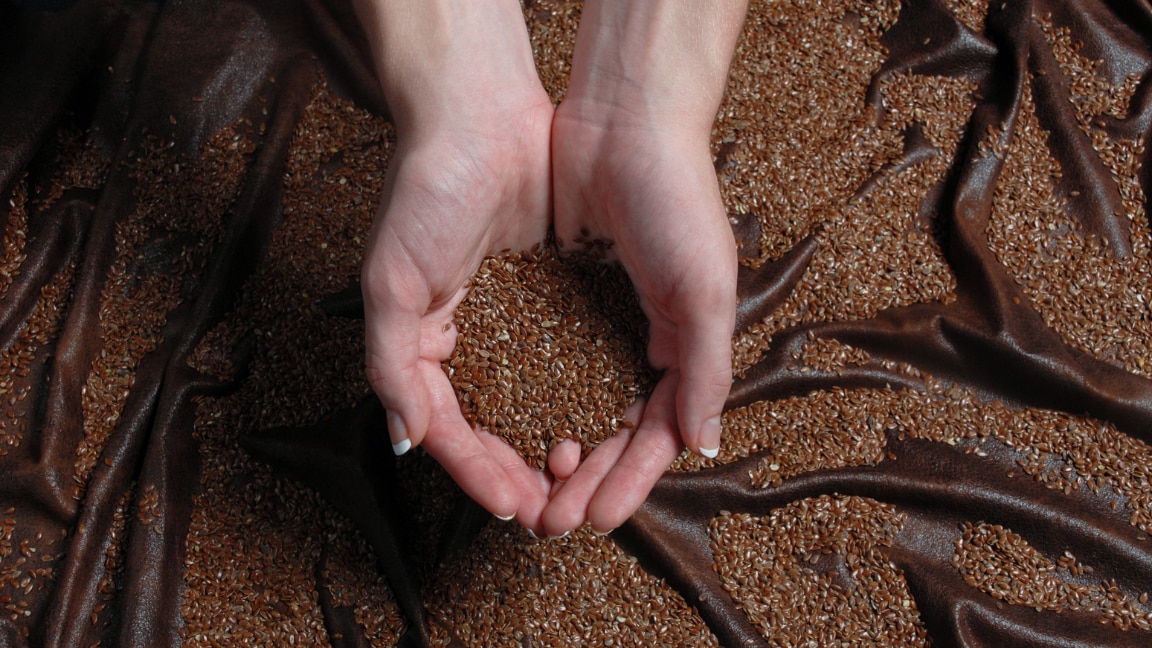Flaxseed for Weight Loss Benefits and Daily Intake