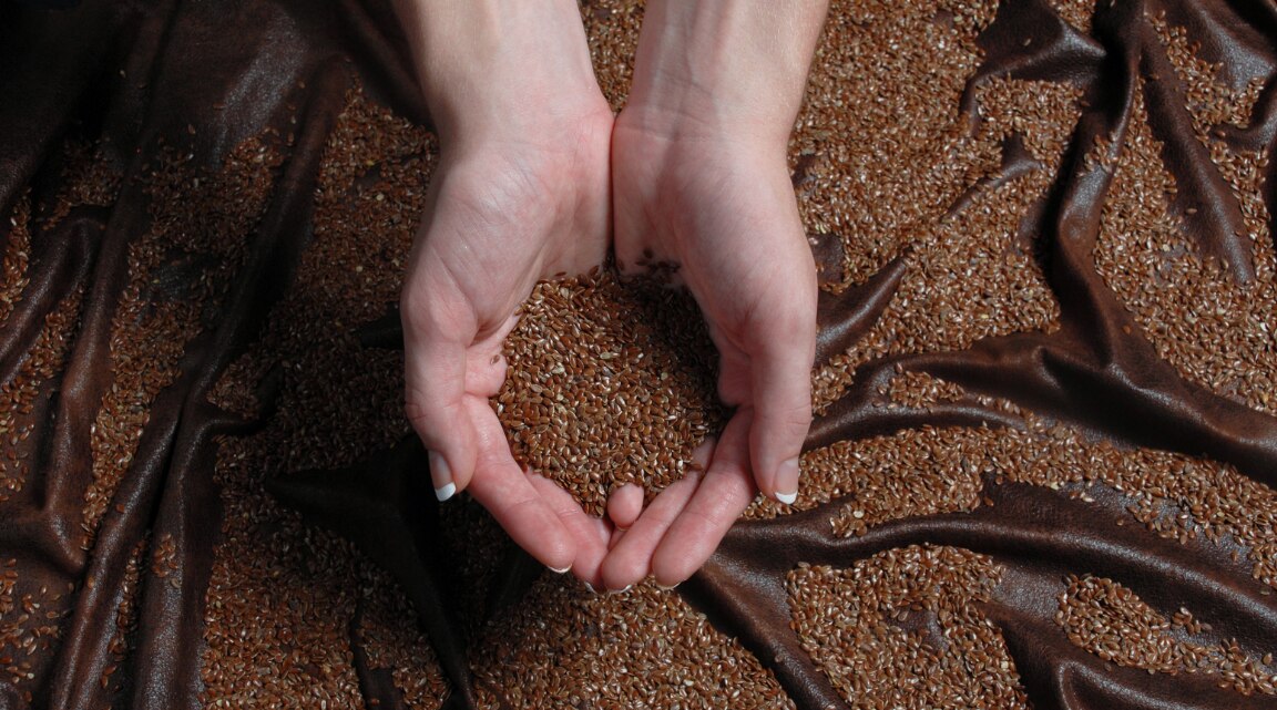 Flaxseed for Weight Loss Benefits and Daily Intake